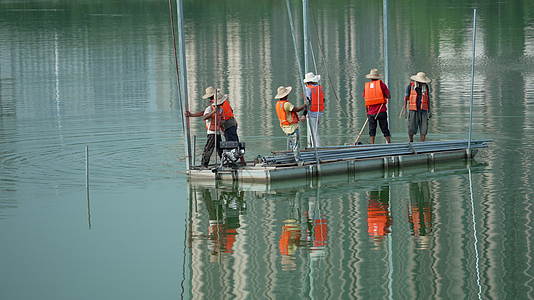 武汉市汉阳区墨水湖公园工作人员在水里打桩视频的预览图