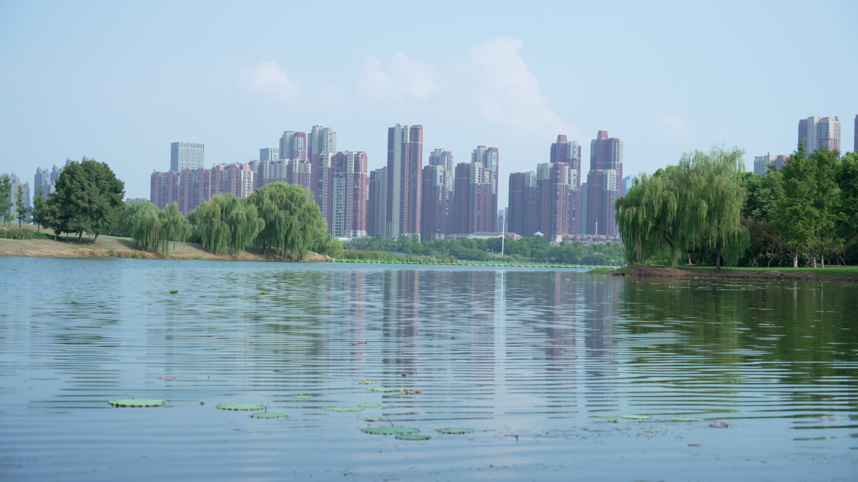 武汉市汉阳区墨水湖公园风景视频的预览图