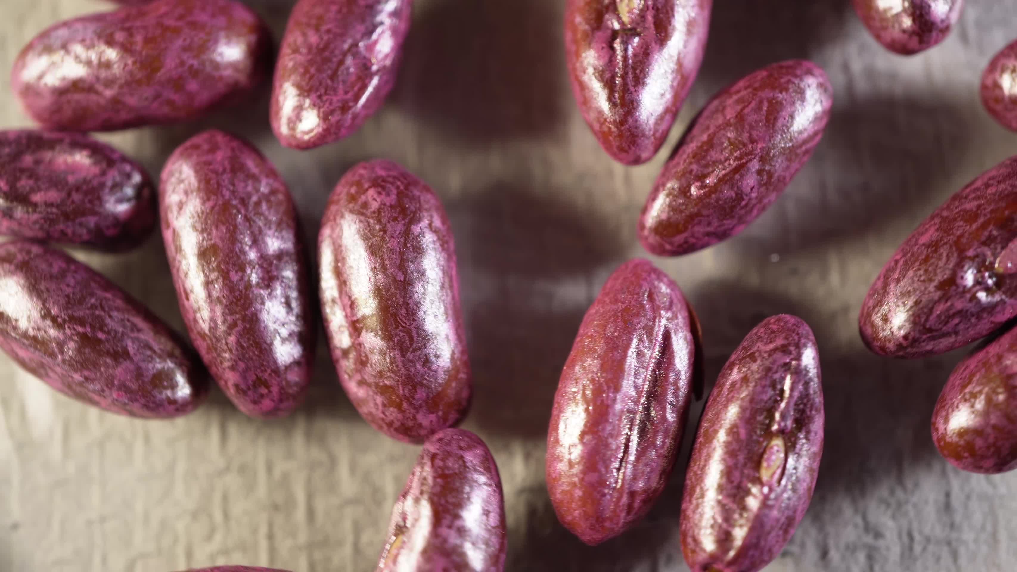 红花四季豆长豆角种子蔬菜种子农作物种菜蔬果种子视频的预览图