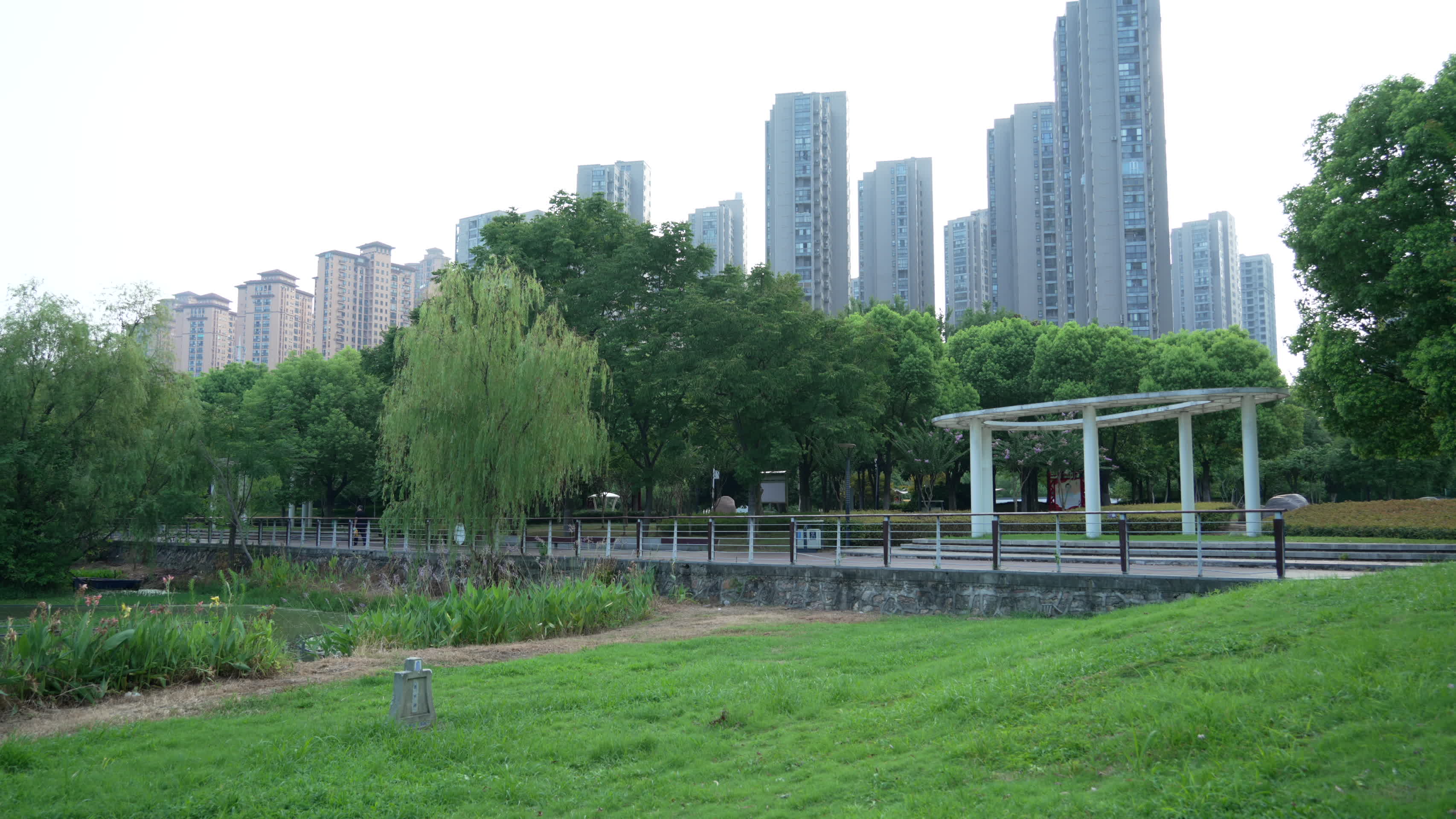 武汉市青山区戴家湖公园风景视频的预览图