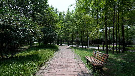 武汉市青山区戴家湖公园风景视频的预览图