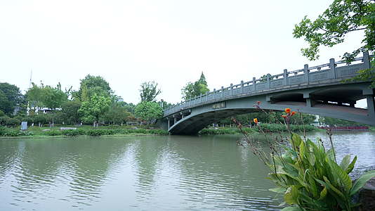 武汉市青山区青山公园风景视频的预览图