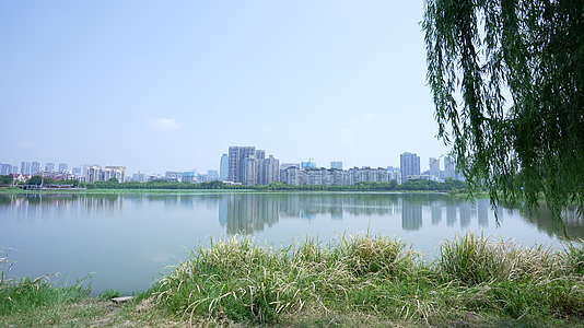 武汉市南湖幸福湾公园风景视频的预览图