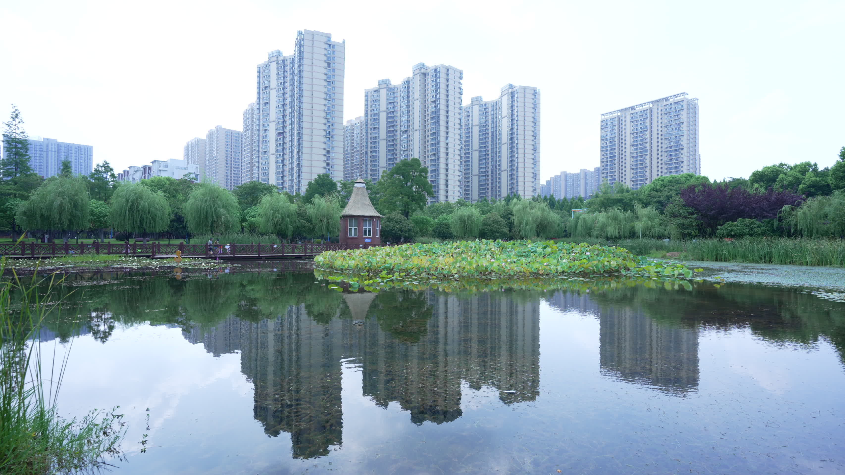 武汉洪山关山荷兰风情园风景视频的预览图