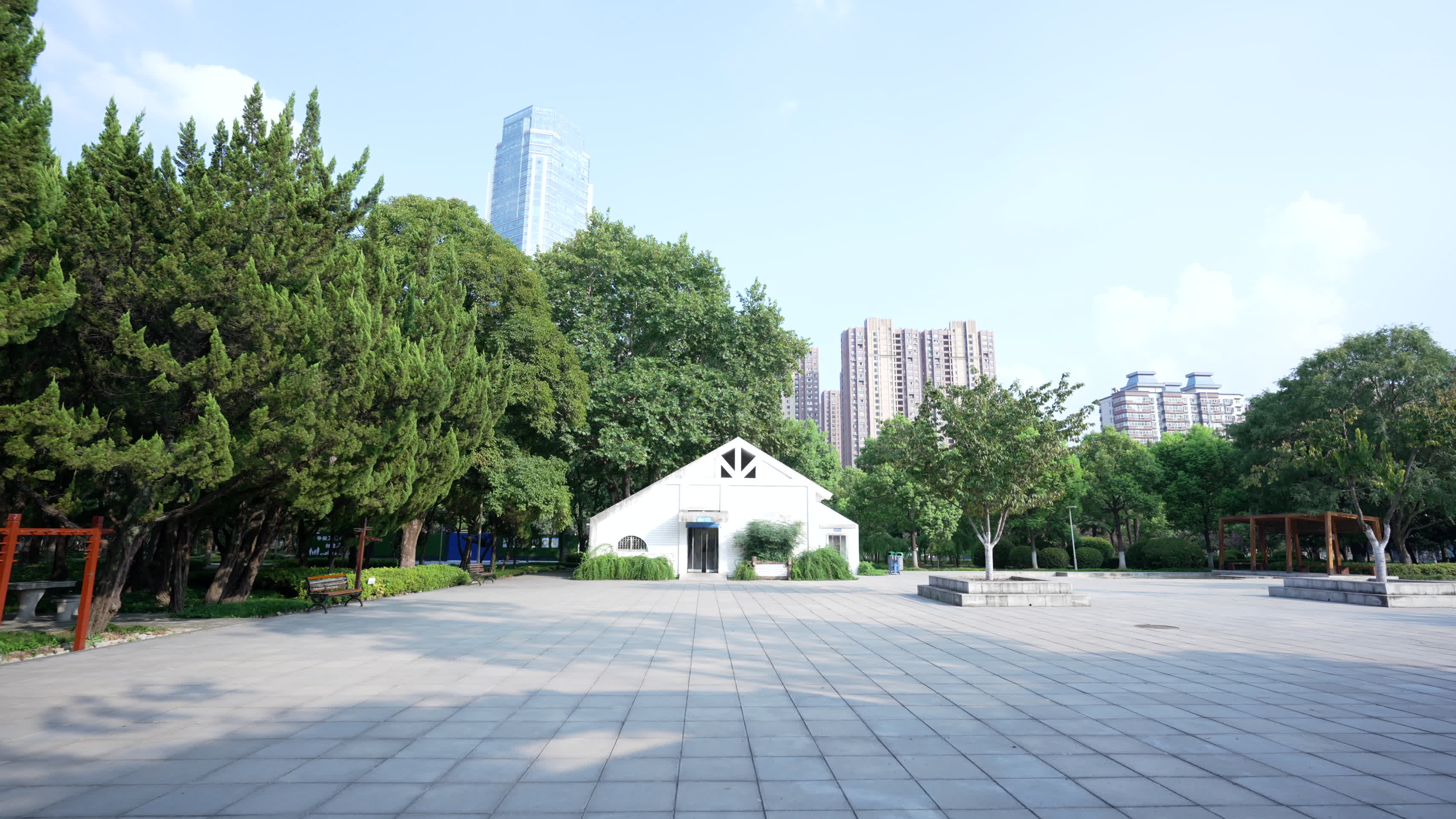 武汉青山区和平公园风景视频的预览图