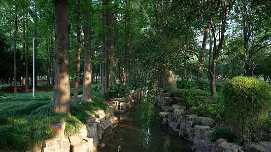 武汉青山区和平公园风景视频的预览图