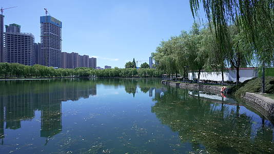 武汉青山区戴家湖公园风景视频的预览图