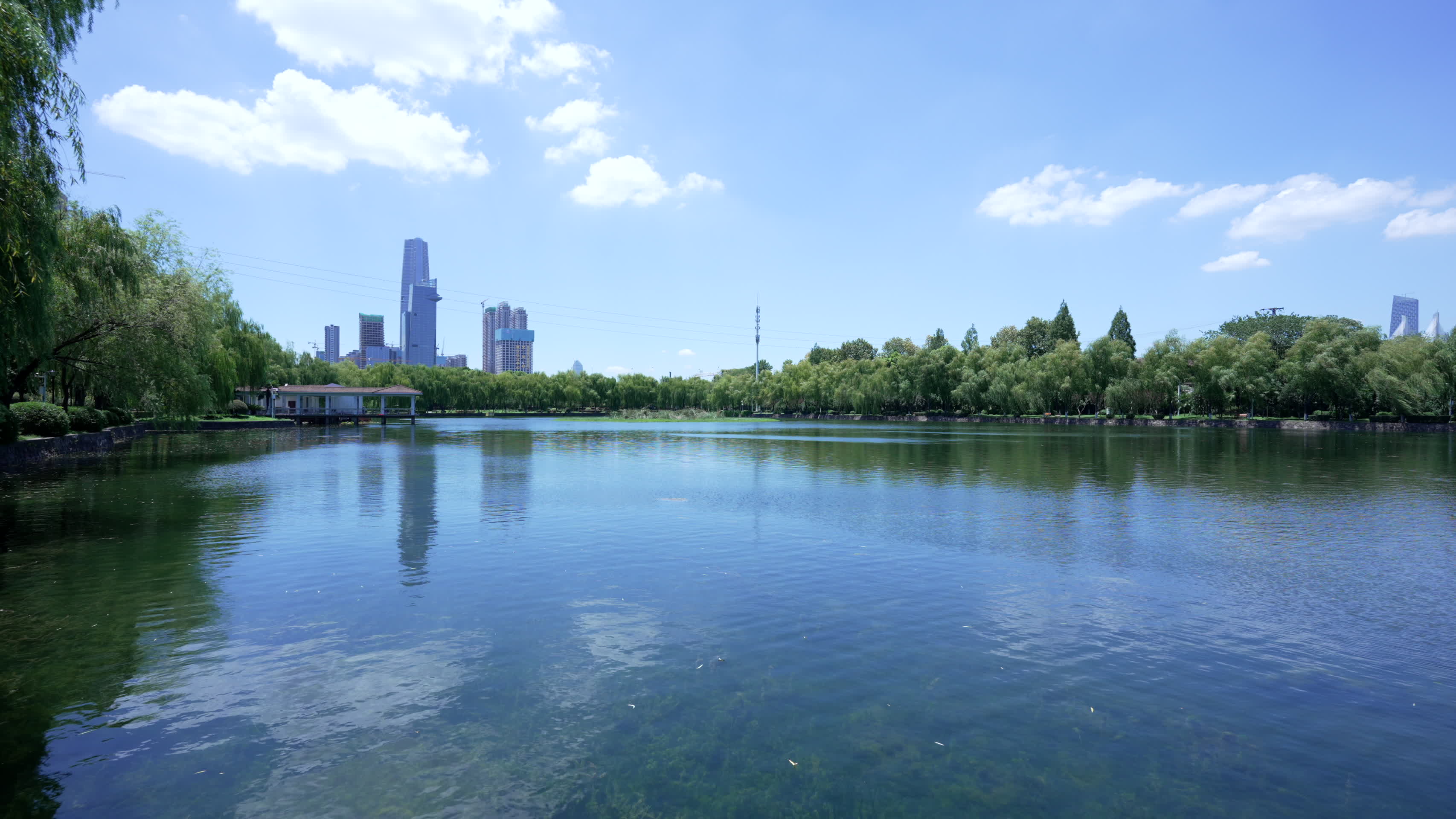 武汉武昌区四美塘公园风景视频的预览图