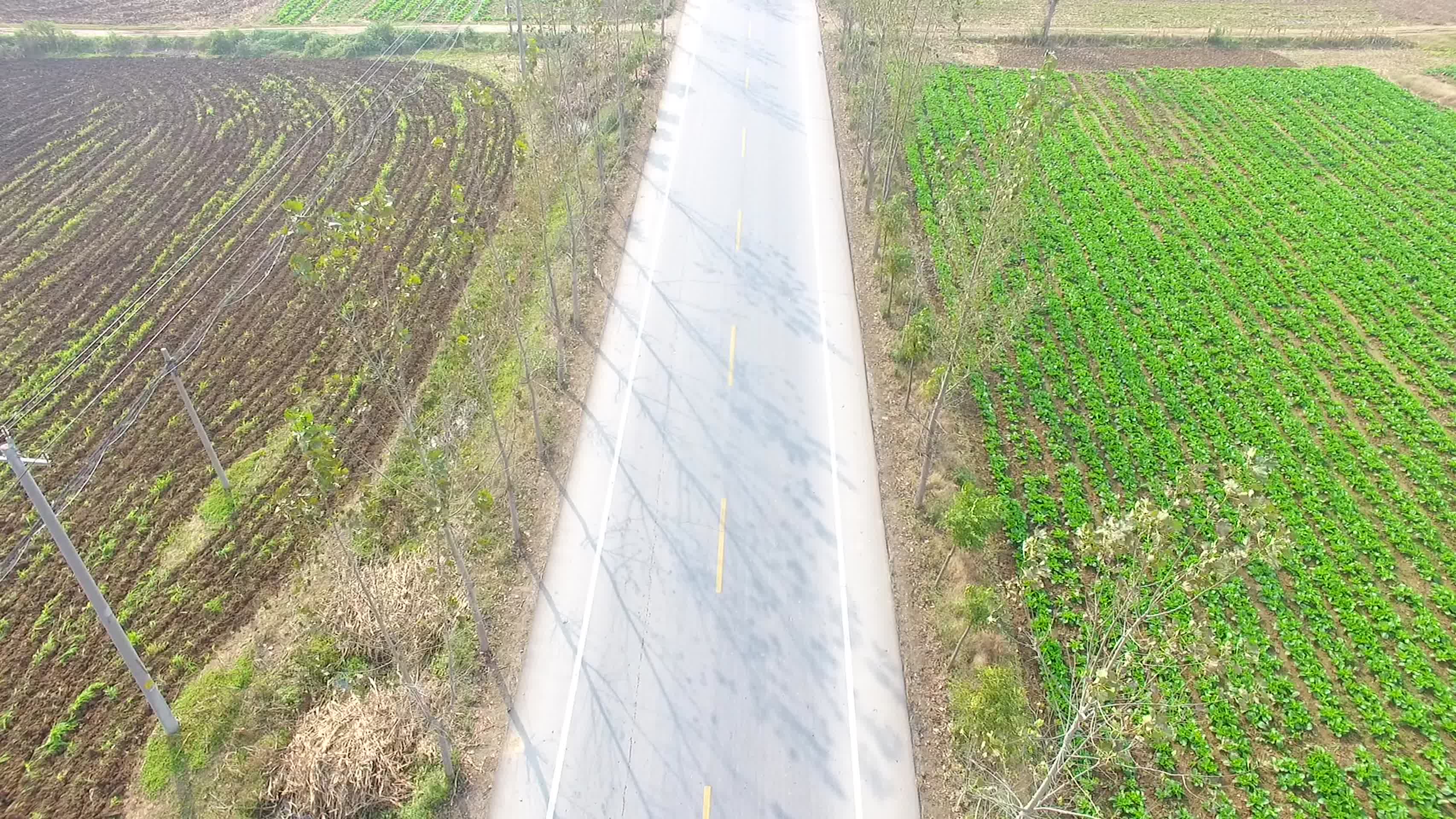 航拍河南农业发展视频的预览图