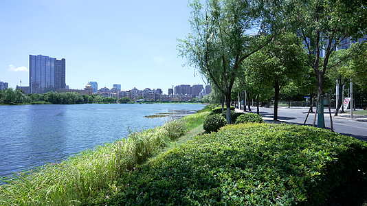 武汉武昌区内沙湖公园风景视频的预览图