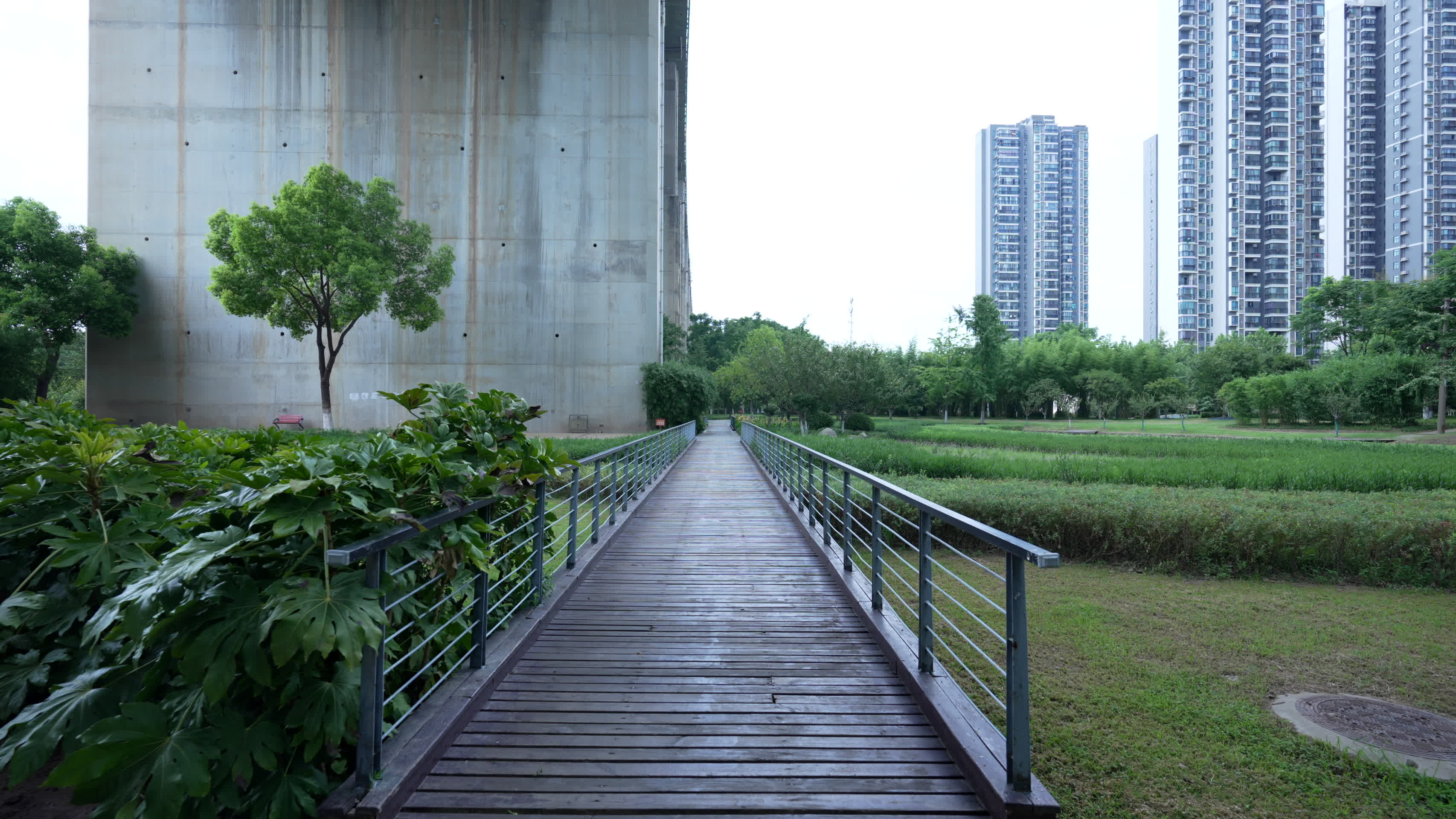 武汉天兴洲大桥桥南公园风景视频的预览图