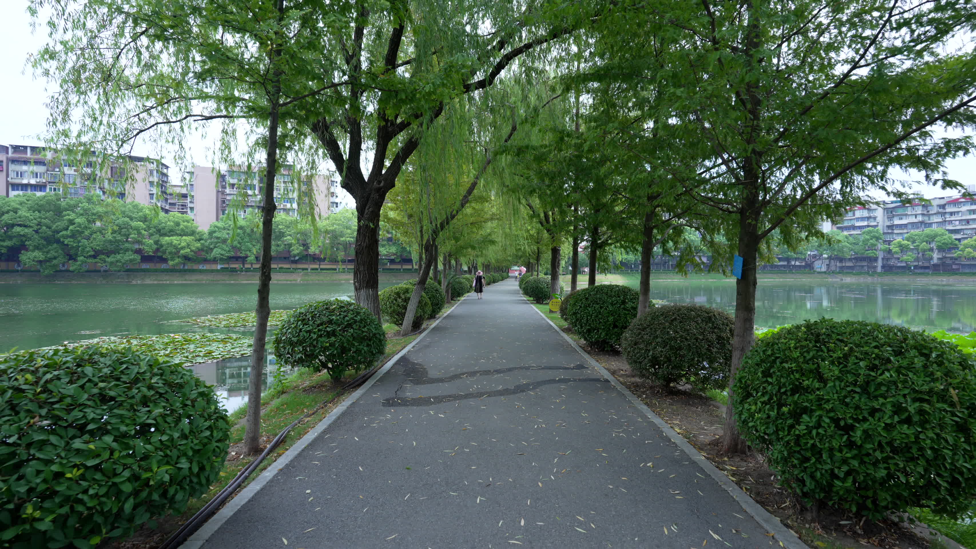 武汉江岸区宝岛公园风景视频的预览图