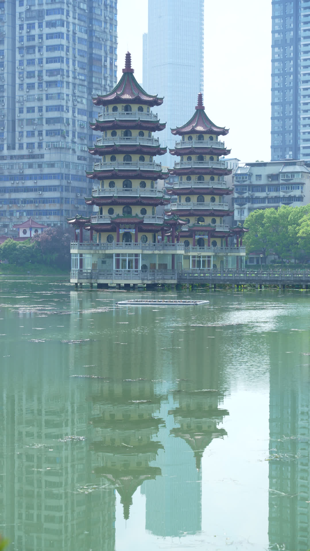 武汉江岸区宝岛公园风景视频的预览图