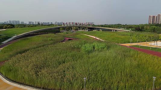 浐灞国际湿地公园视频的预览图