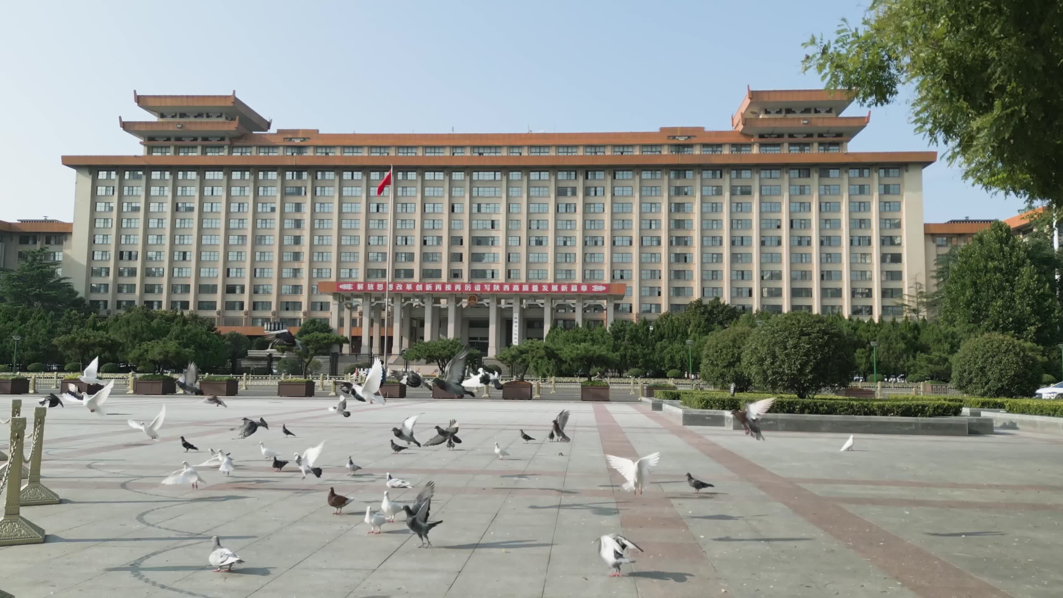 陕西省大楼办公大楼视频的预览图