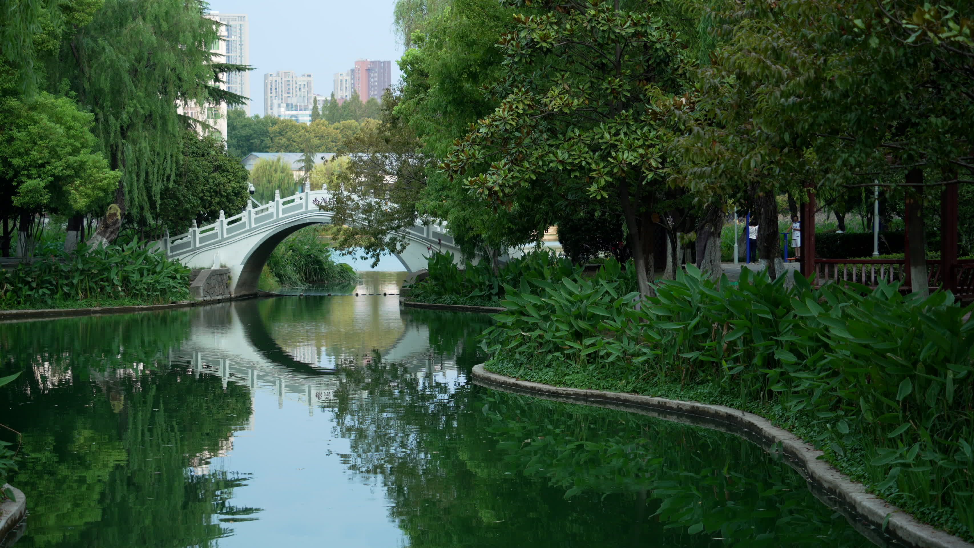 武汉江岸区小南湖公园风景视频的预览图