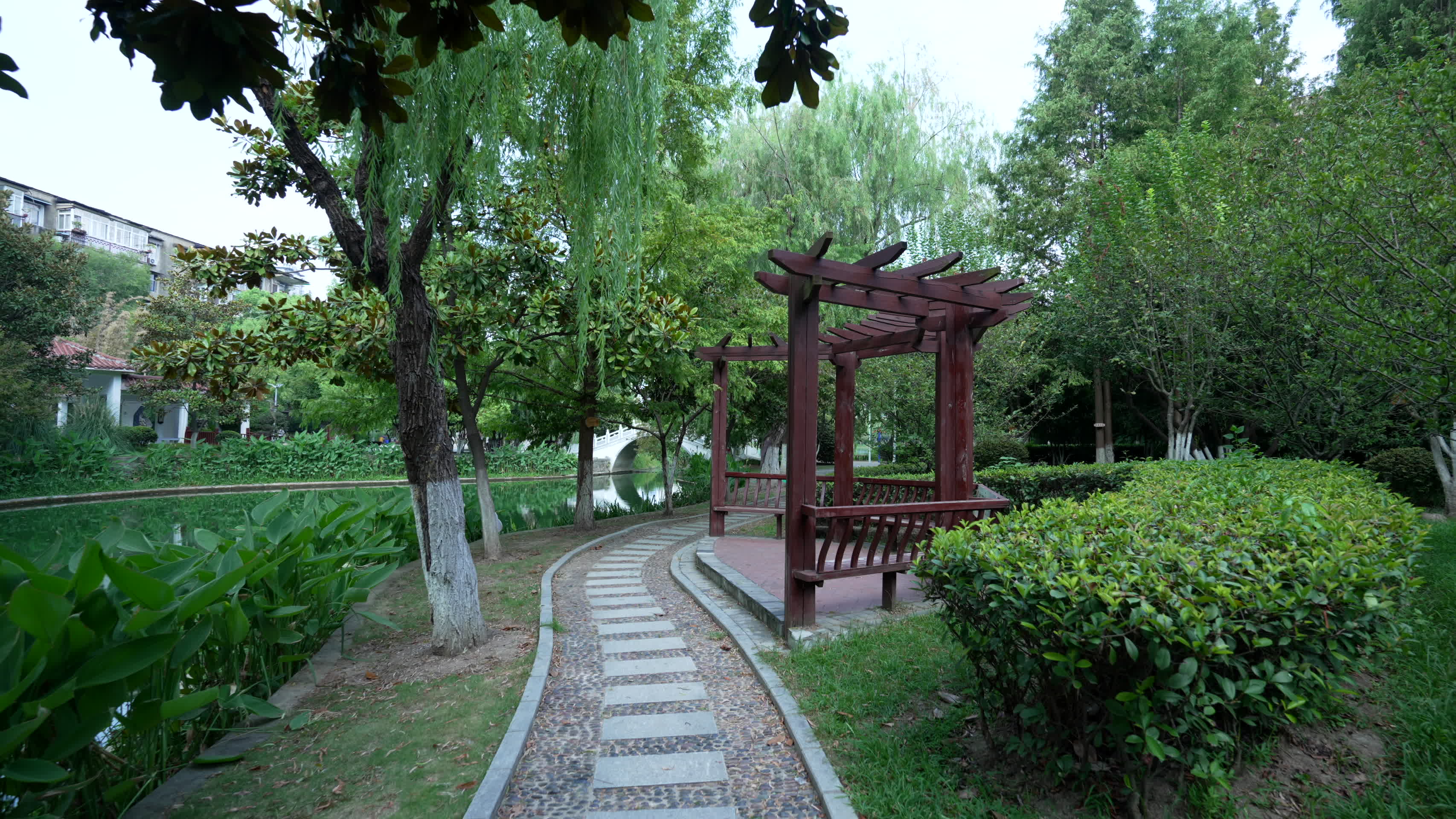 武汉江岸区小南湖公园风景视频的预览图
