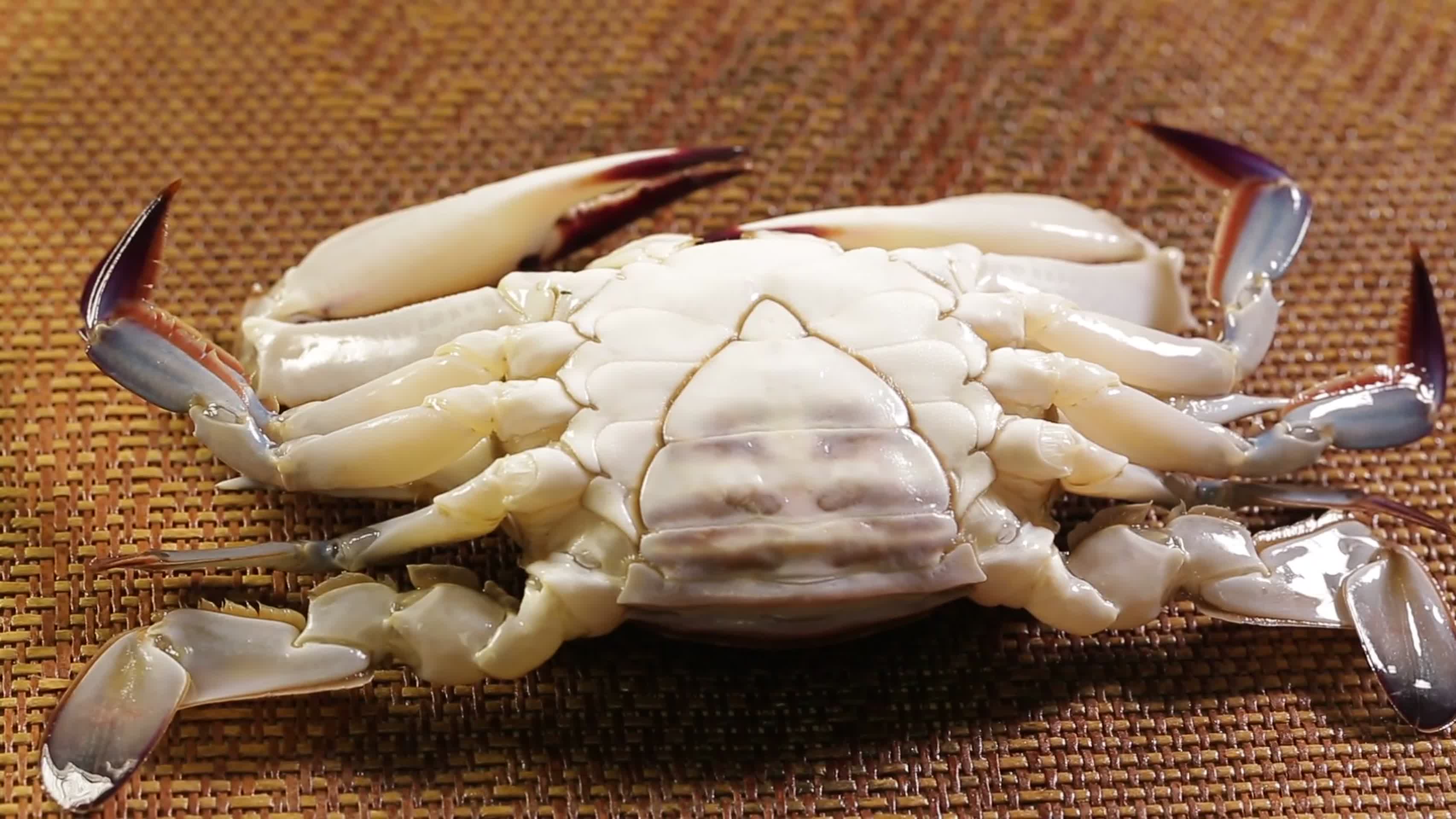 镜头合集蟹脐特写螃蟹腹部视频的预览图