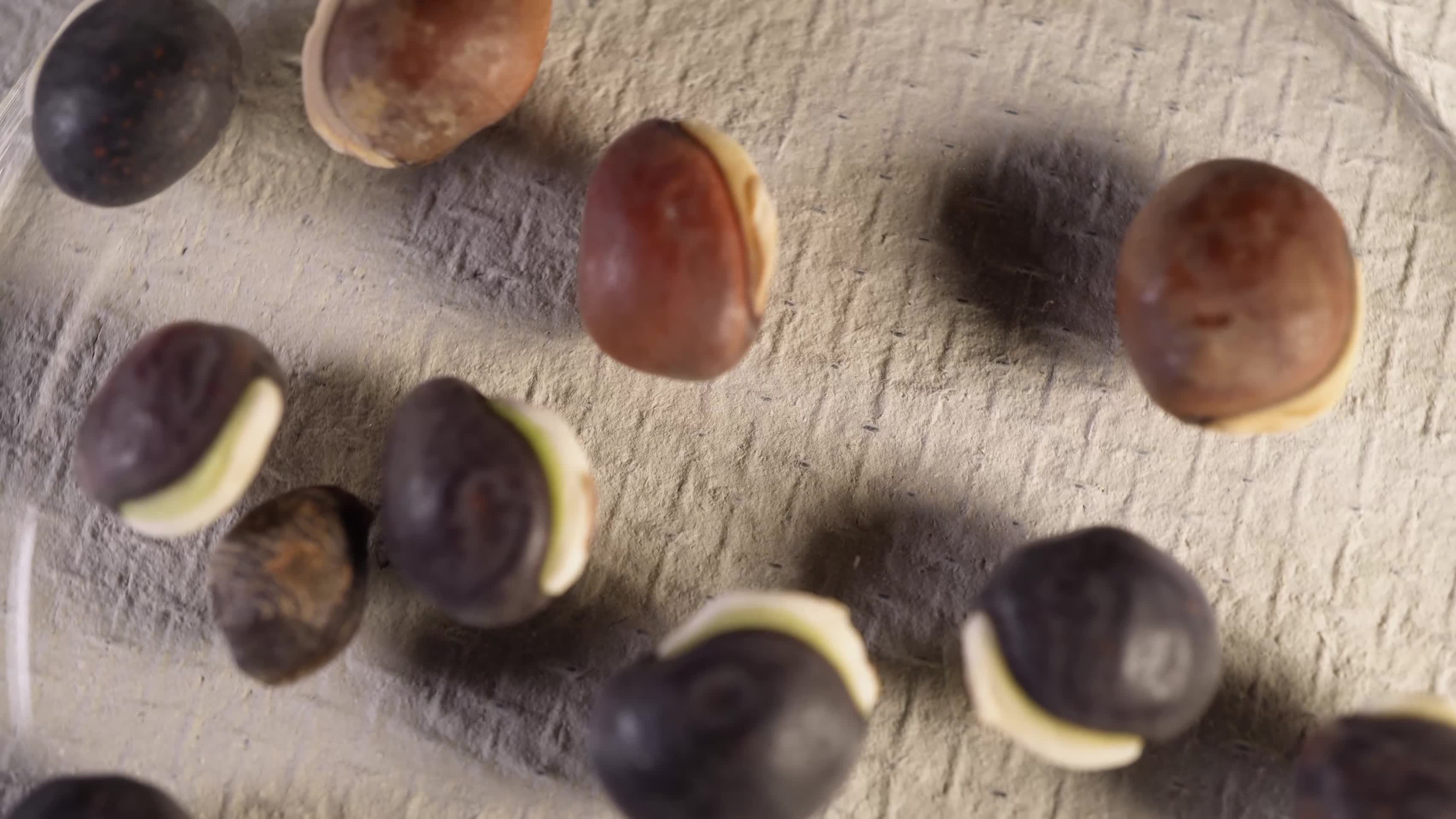 扁豆紫眉豆豆角种子蔬菜种子农作物种菜蔬果种子视频的预览图