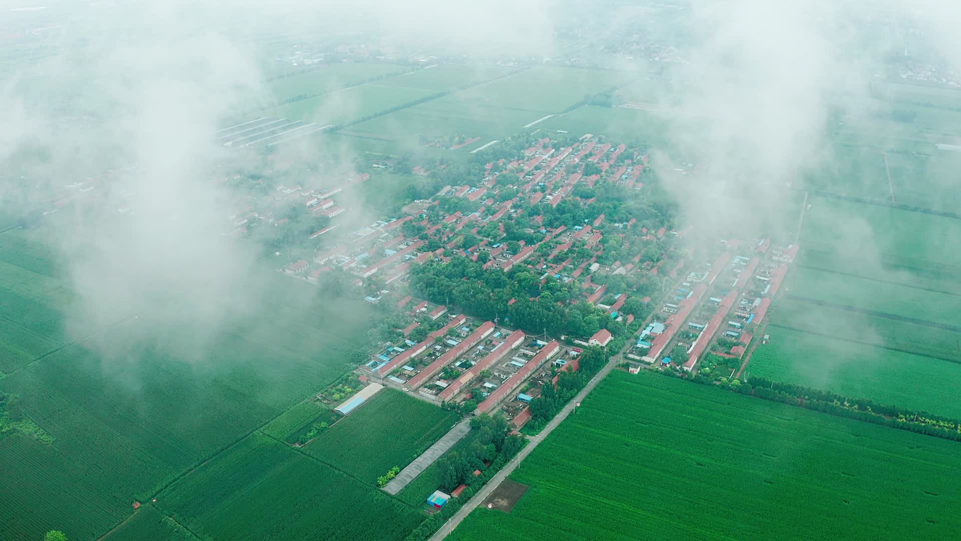 晨雾中的绿色乡村视频的预览图