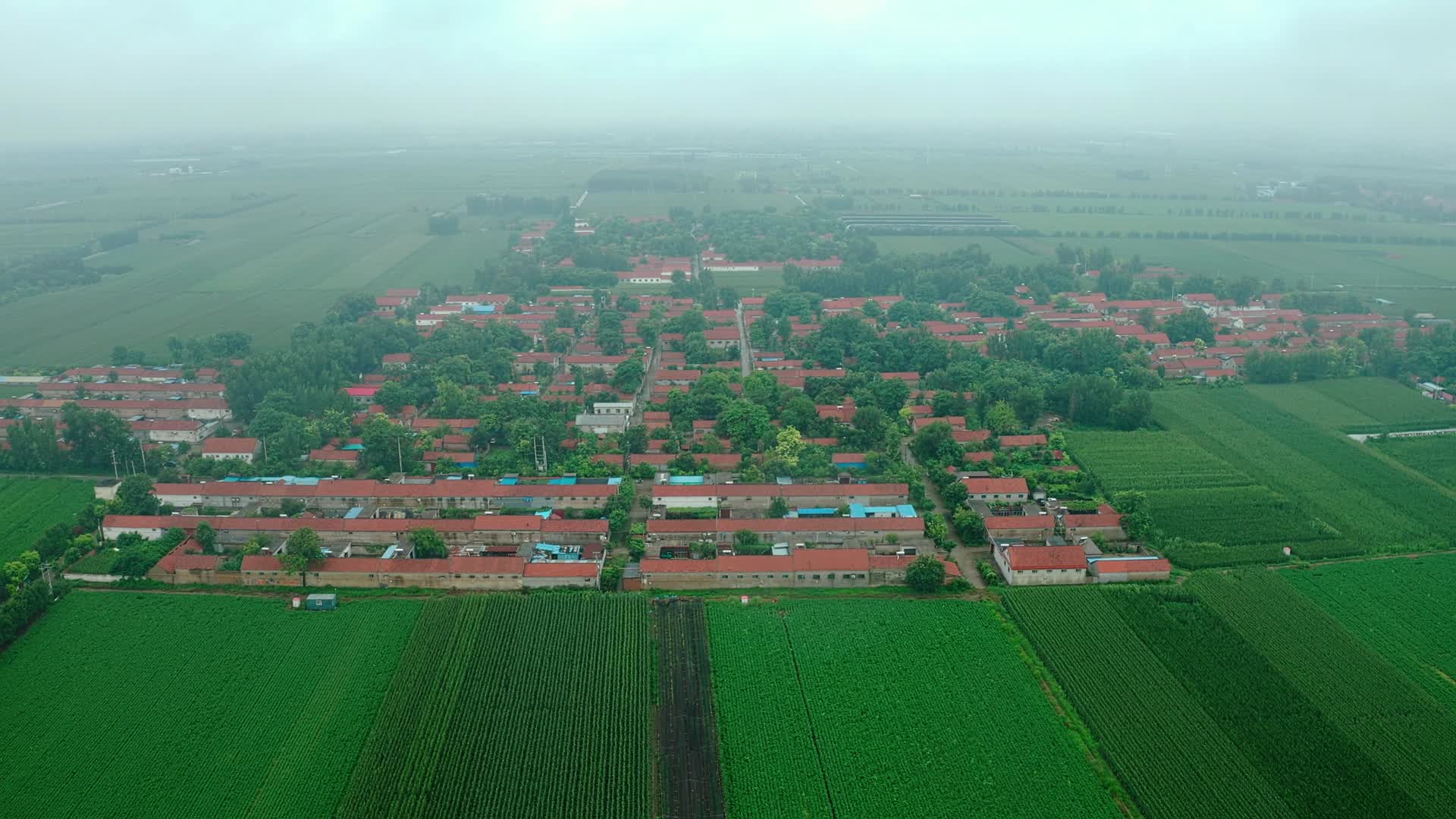 晨雾中的绿色乡村视频的预览图