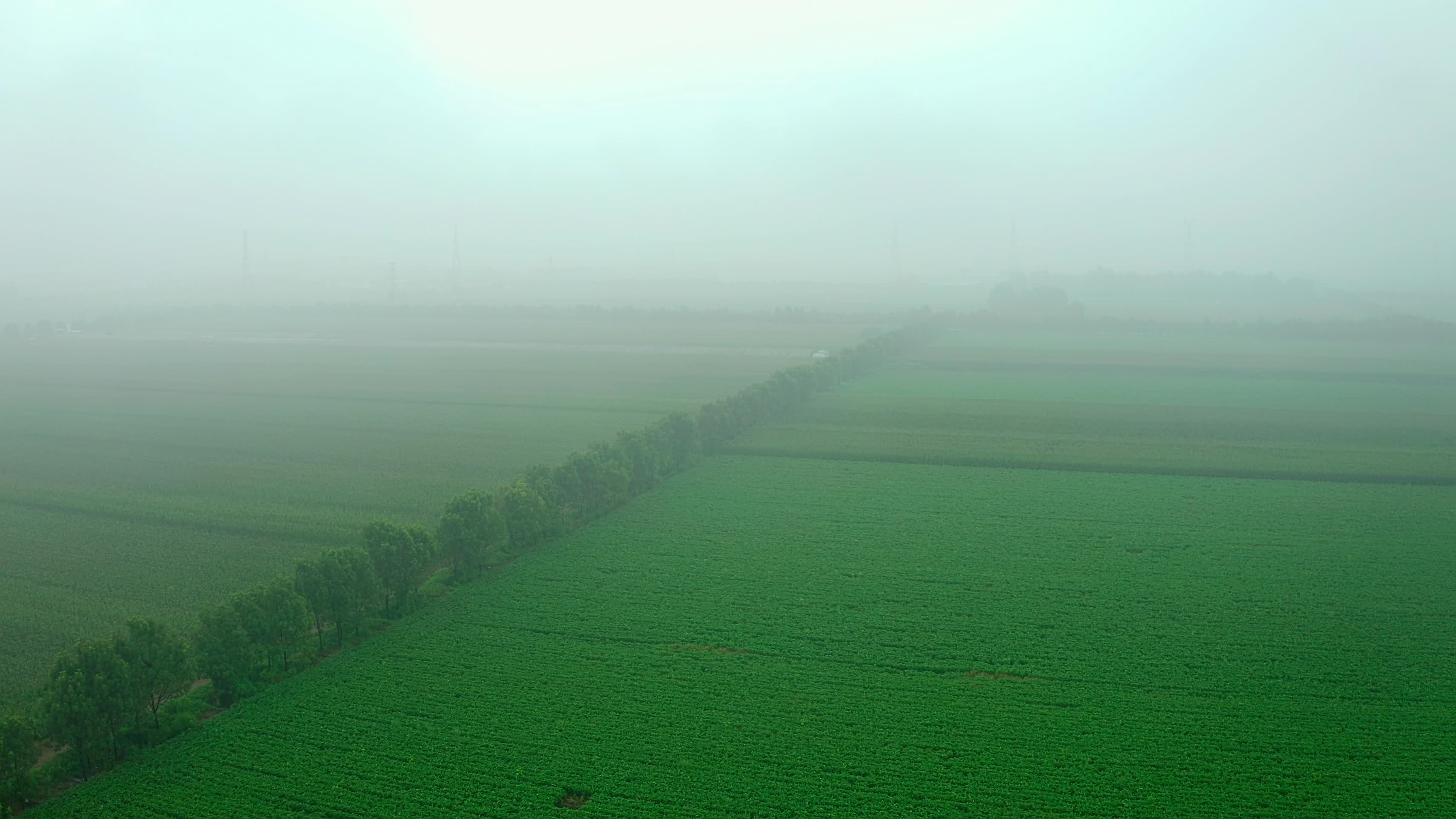 雾气滋养中的农田视频的预览图