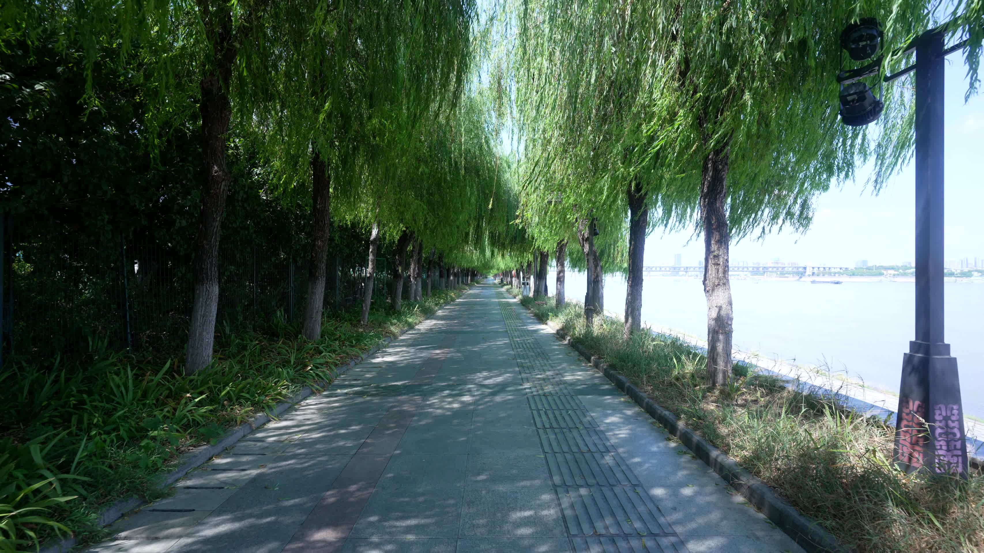 武汉汉阳江滩风景视频的预览图