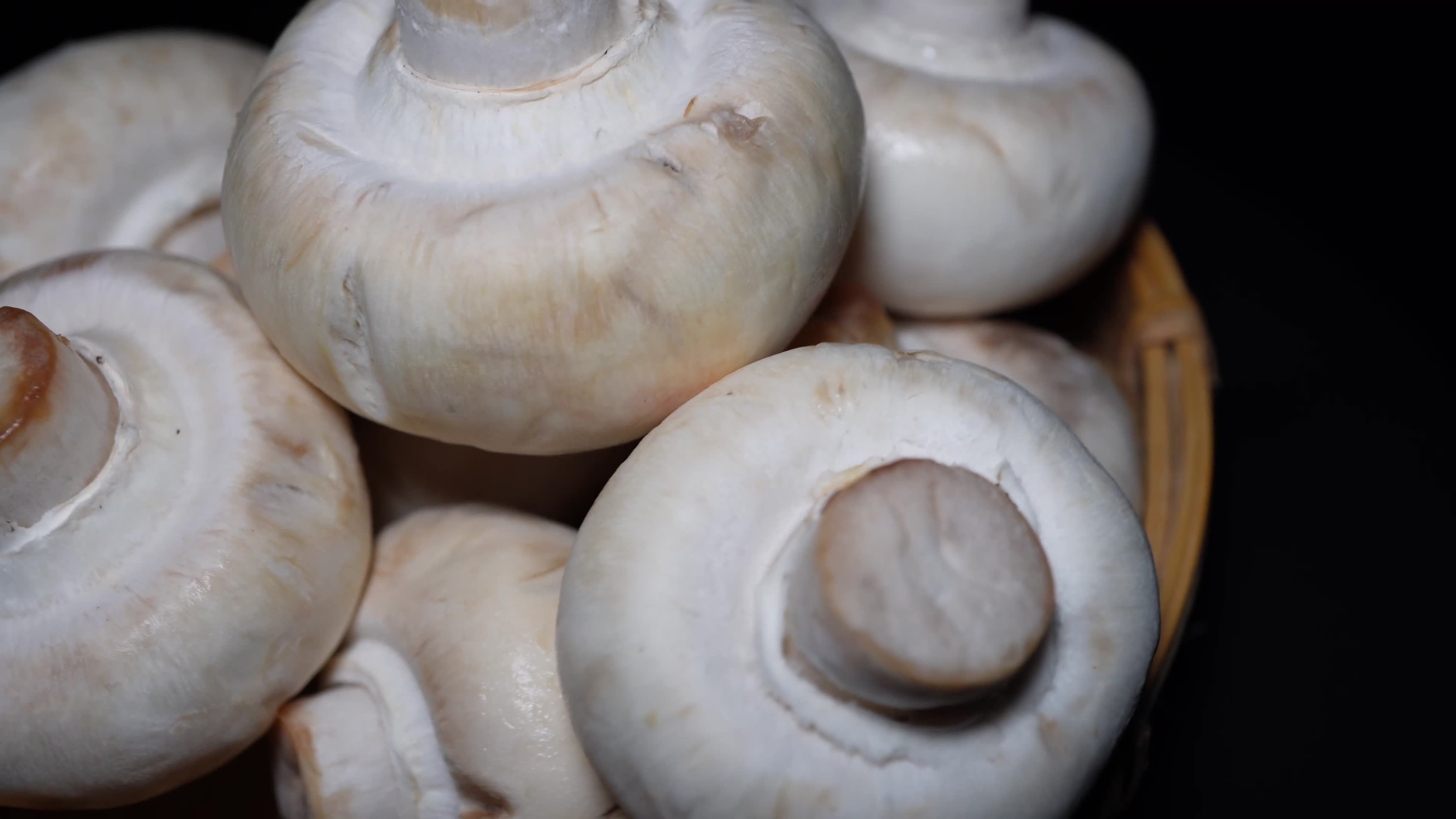 口蘑白蘑菇食材氨基酸视频的预览图