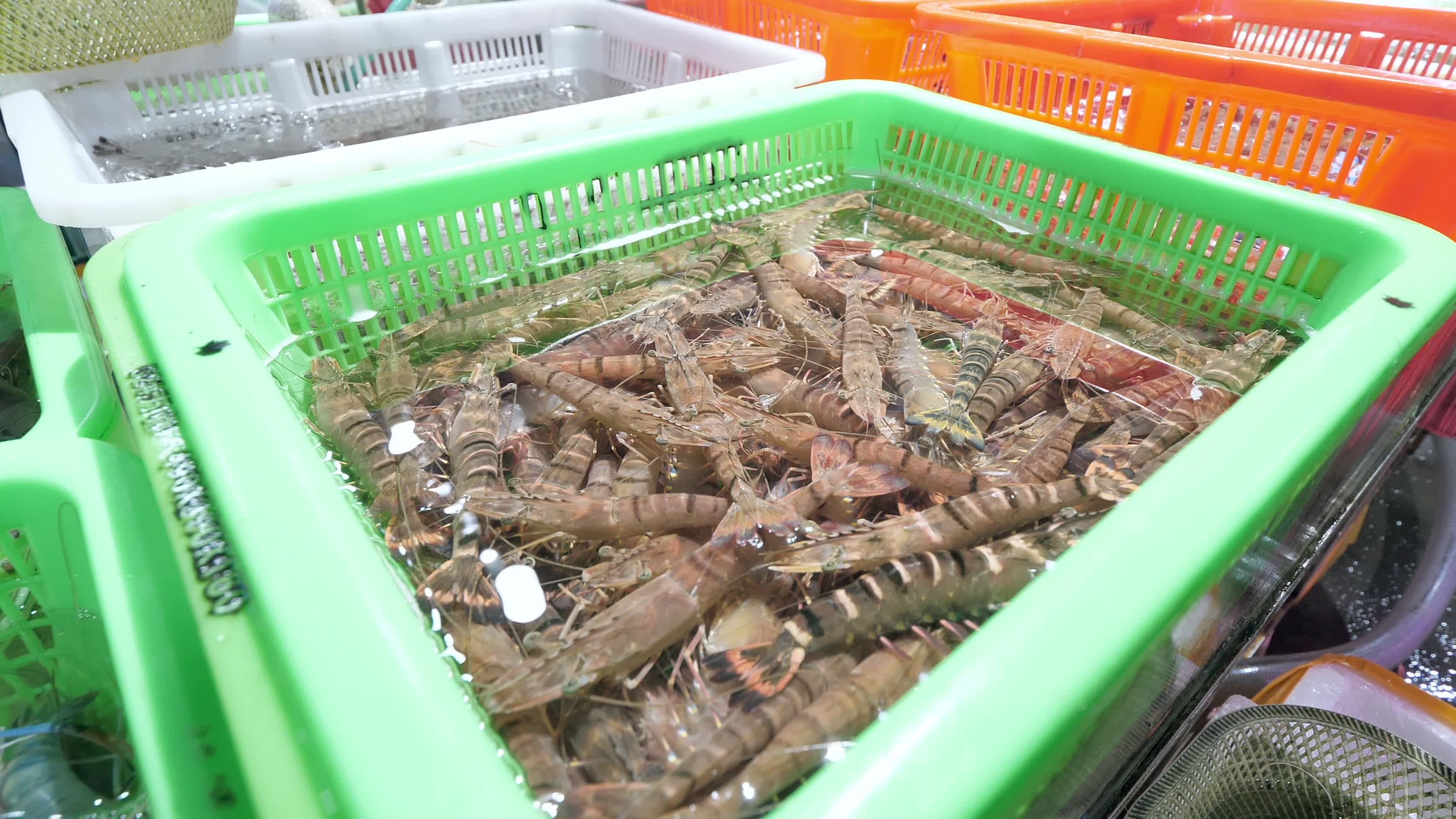 干净整洁的海鲜市场龙虾水产市场菜市场视频的预览图