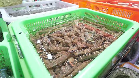 干净整洁的海鲜市场龙虾水产市场菜市场视频的预览图
