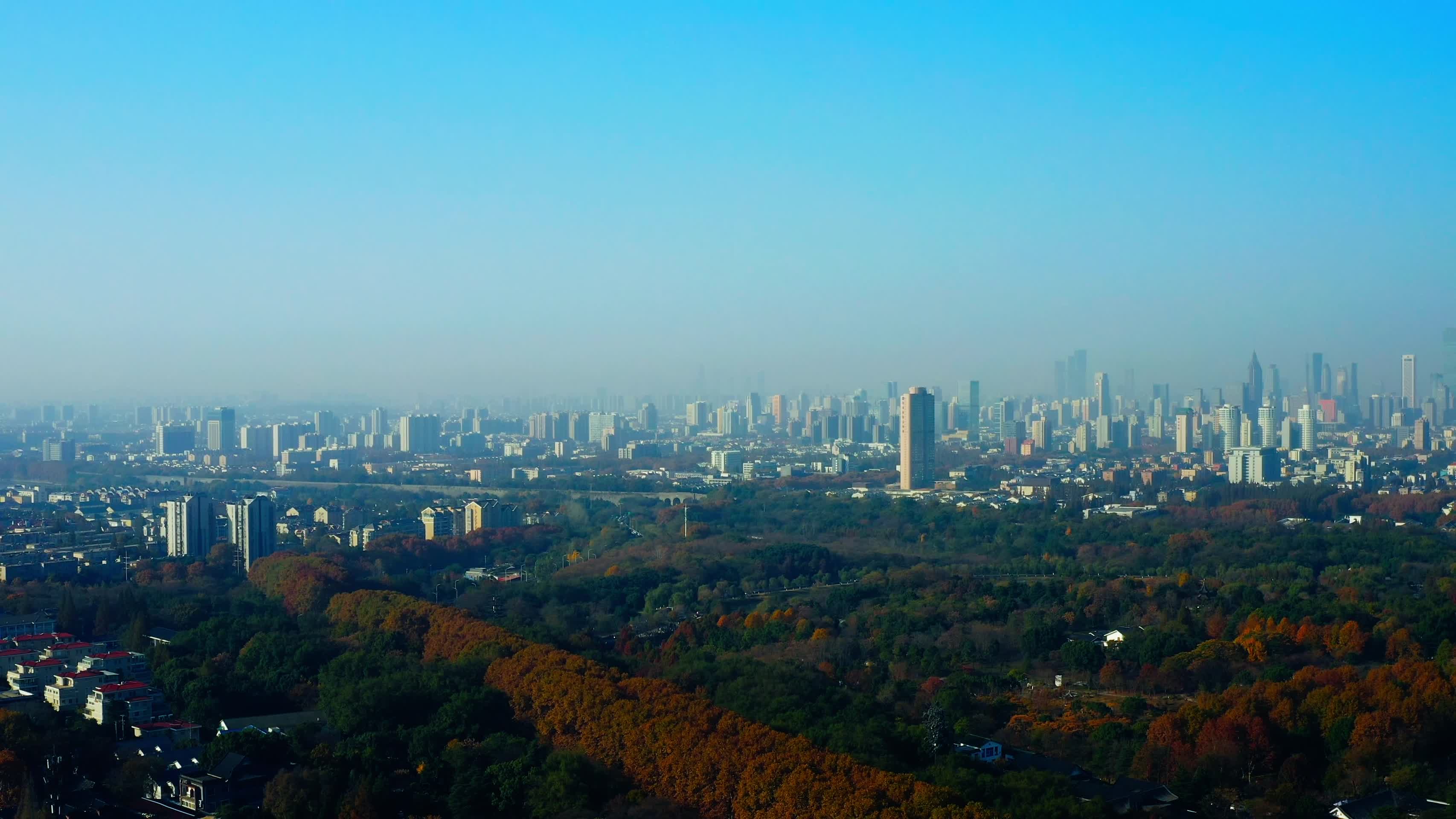 遥看秋天的南京城视频的预览图