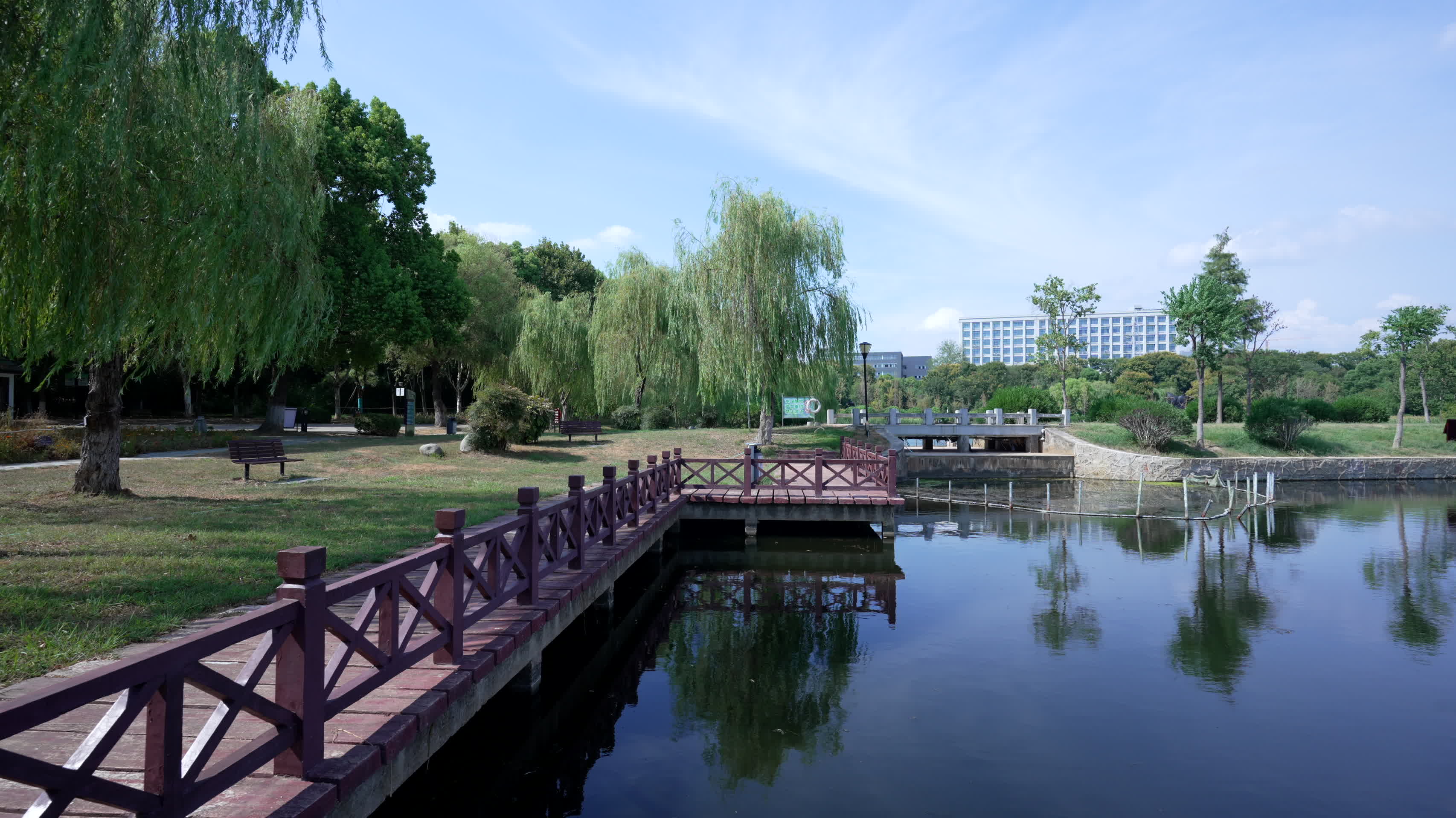 武汉沌口汤湖公园风景视频的预览图
