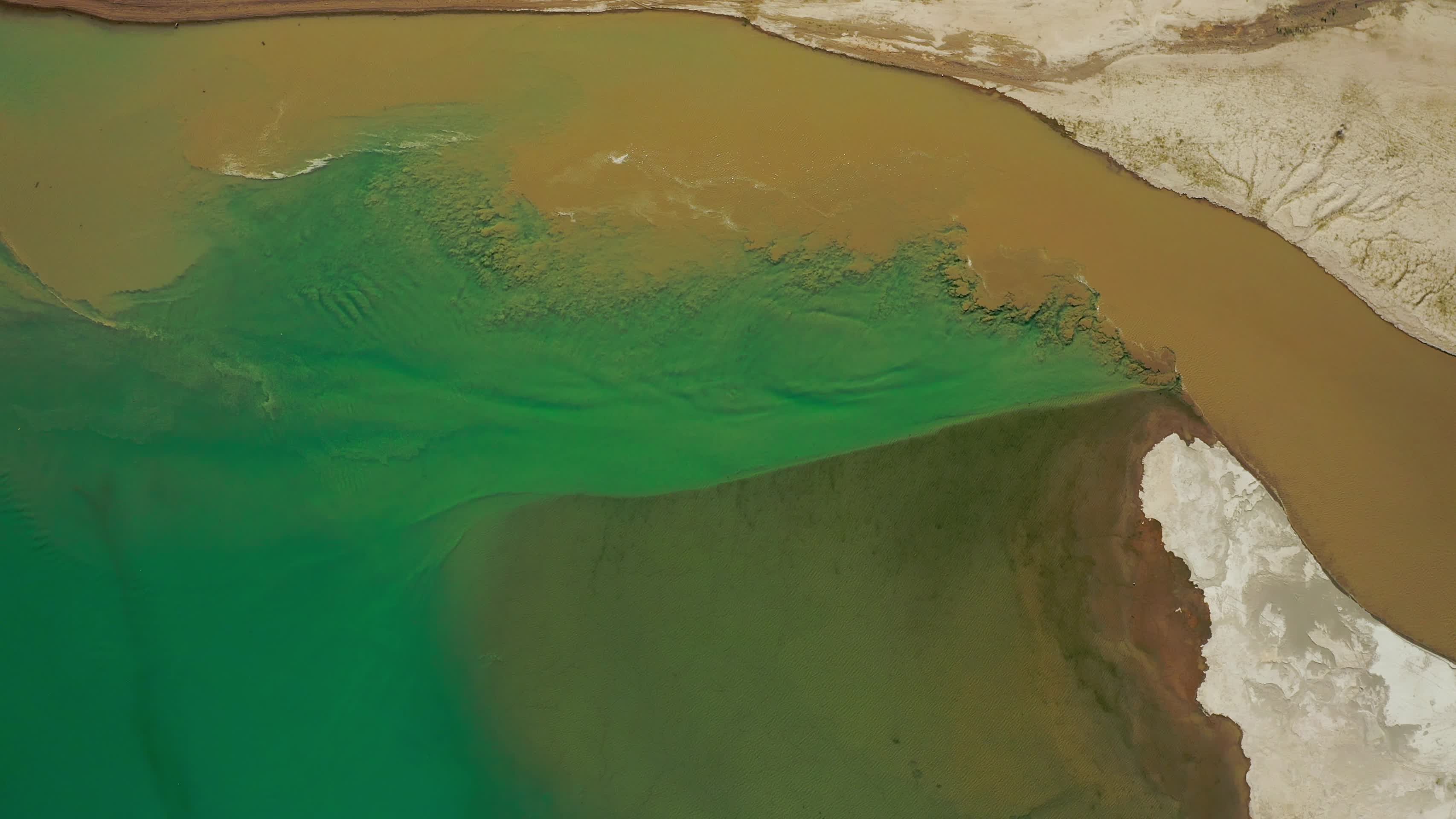 荒漠中翠绿的湖泊视频的预览图