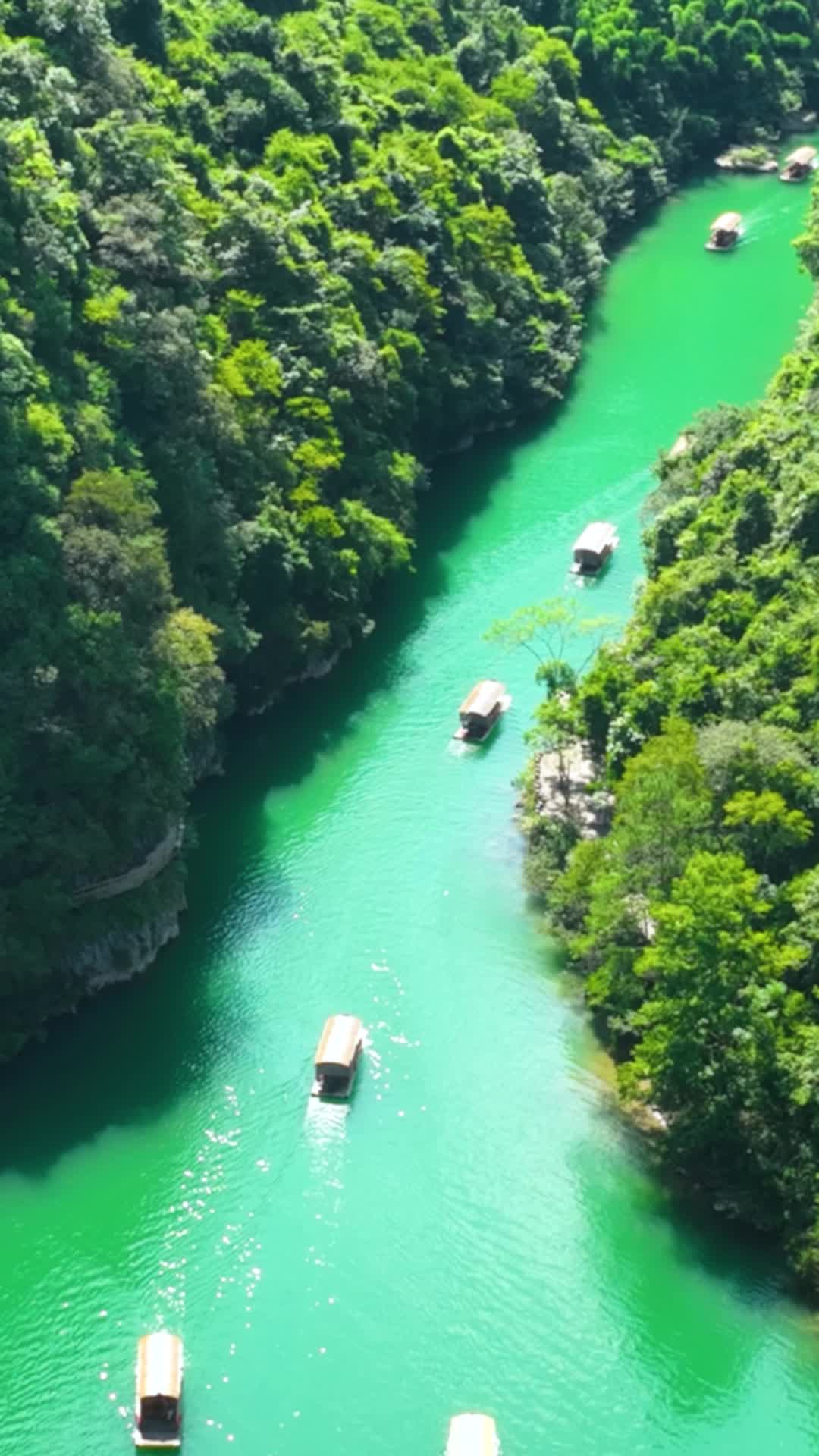 高清竖屏航拍河池南丹里湖乡山青水秀视频的预览图