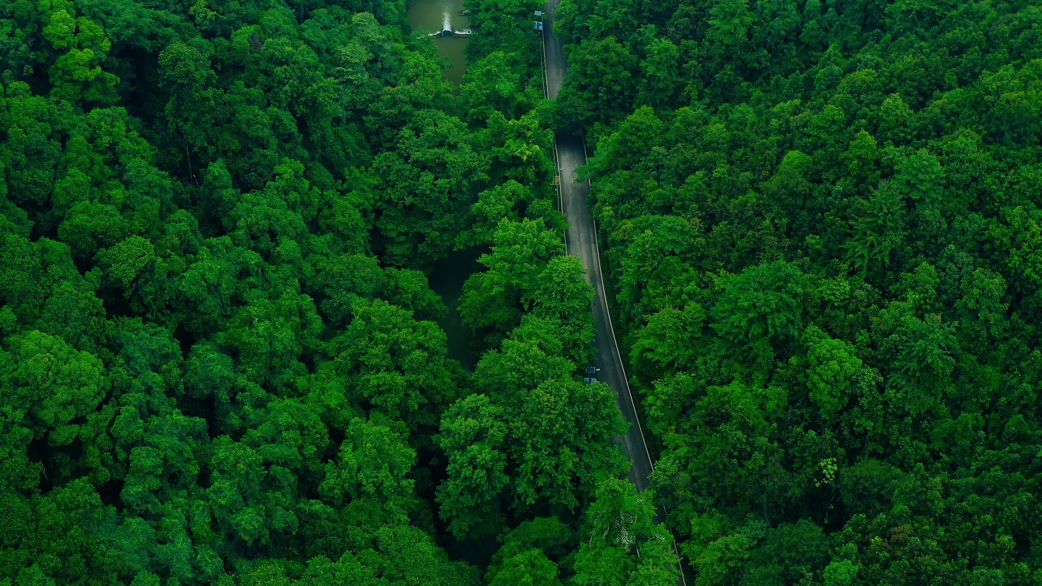 江西景德镇乐平镇自然田园风光4K航拍视频的预览图