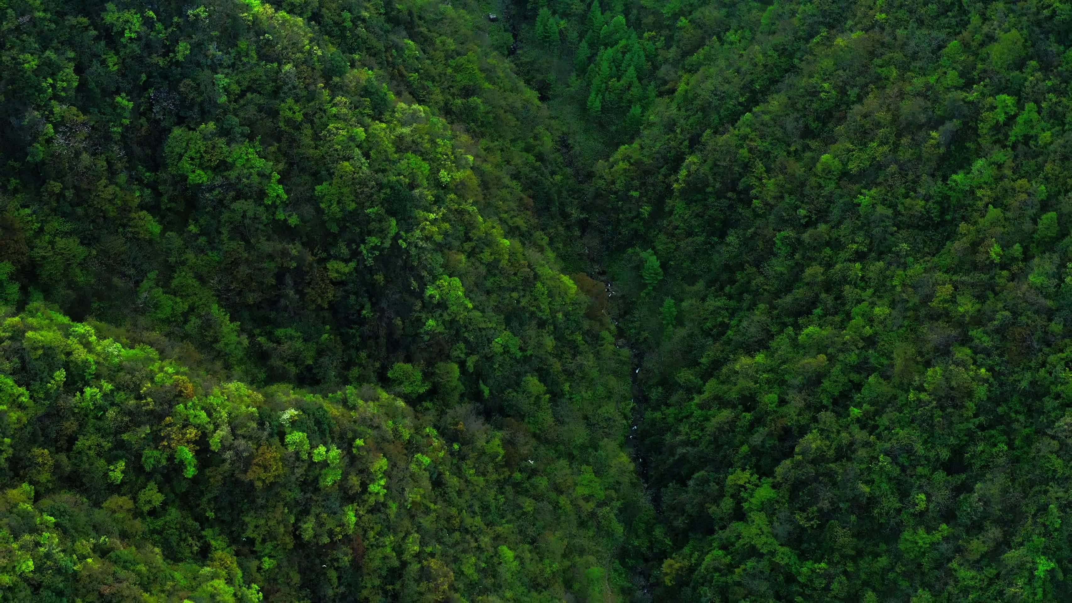 湖南神农架林区太阳坪自然保护区4K航拍视频的预览图
