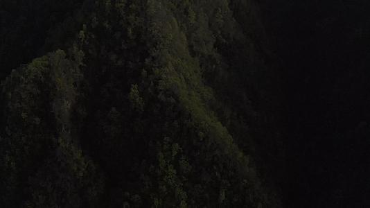 湖南神农架林区太阳坪自然保护区4K航拍视频的预览图