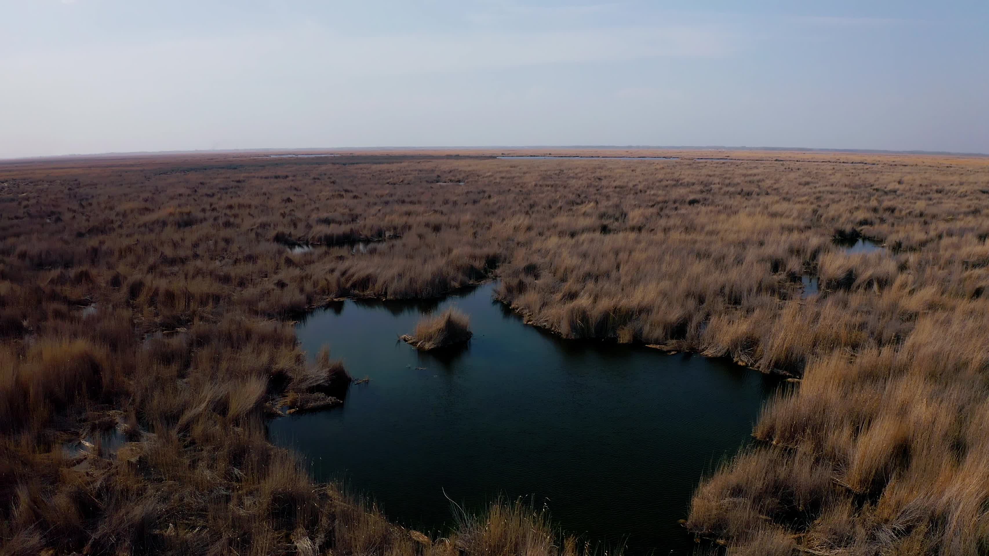 博斯腾湖湿地视频的预览图