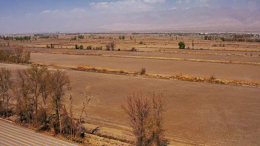 新疆库尔勒的棉田视频的预览图