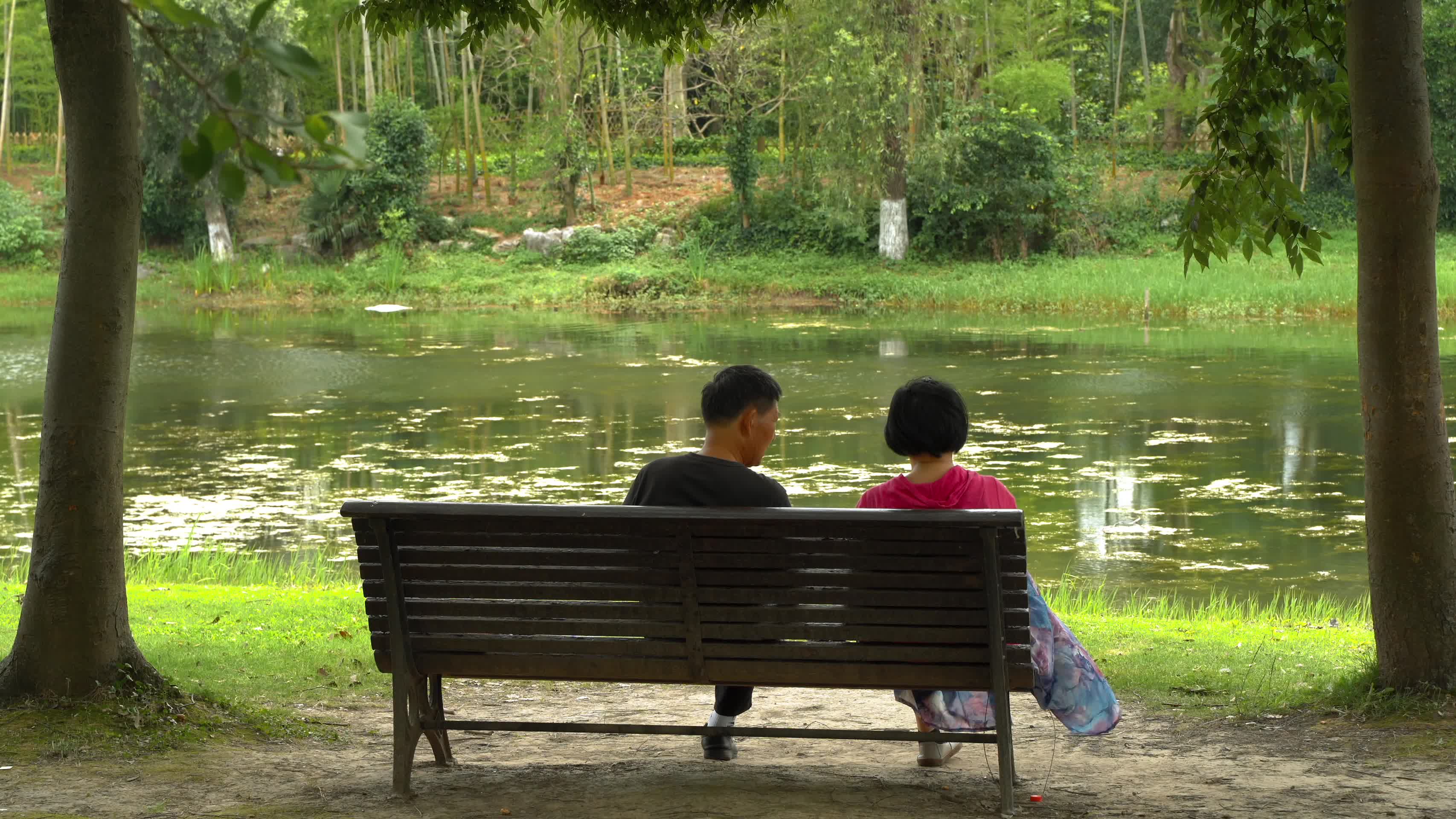 老年人夫妻在公园座椅上休息4K视频视频的预览图