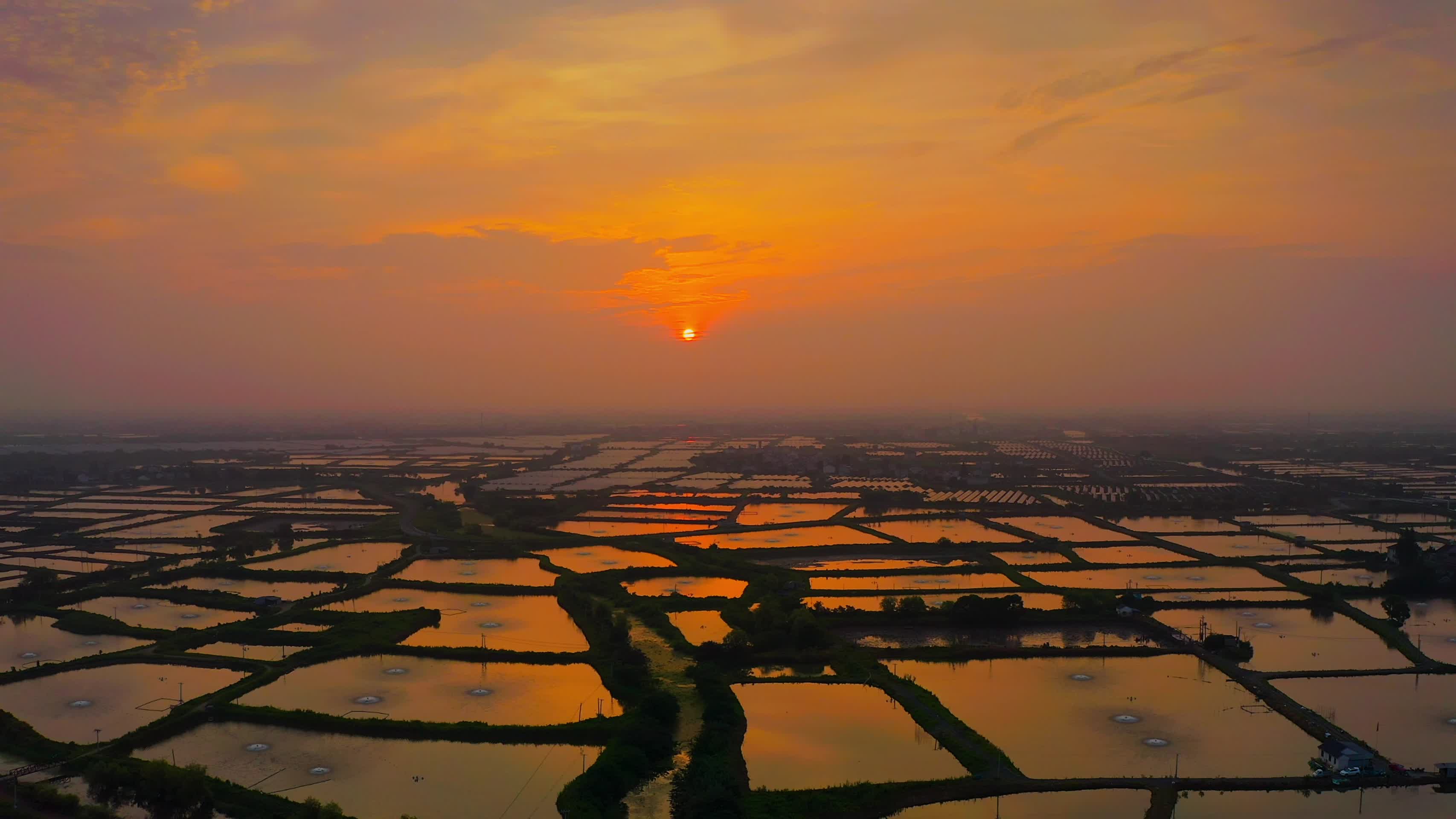 日落下的万亩水塘视频的预览图