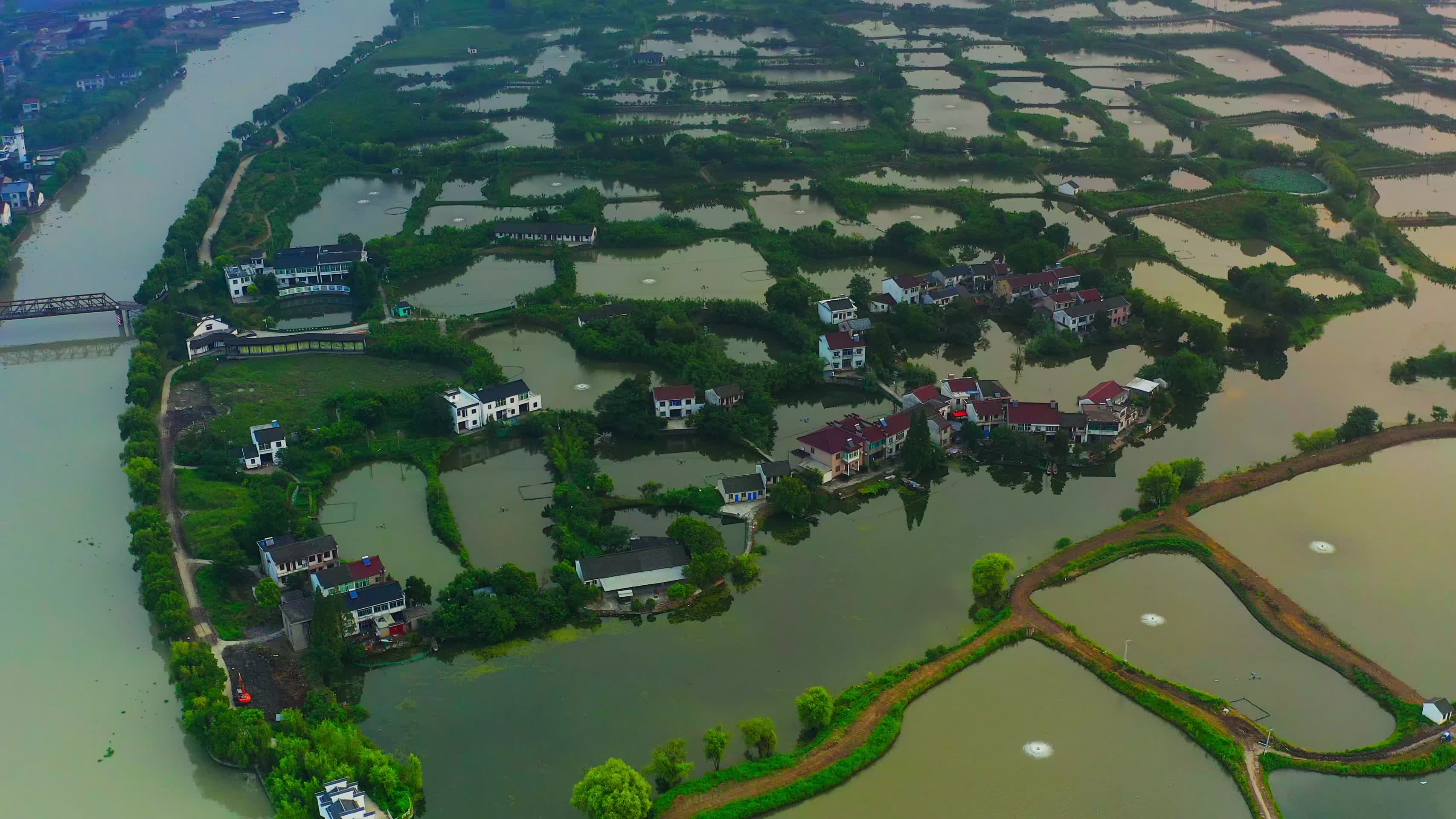 江南水乡的万亩水塘视频的预览图