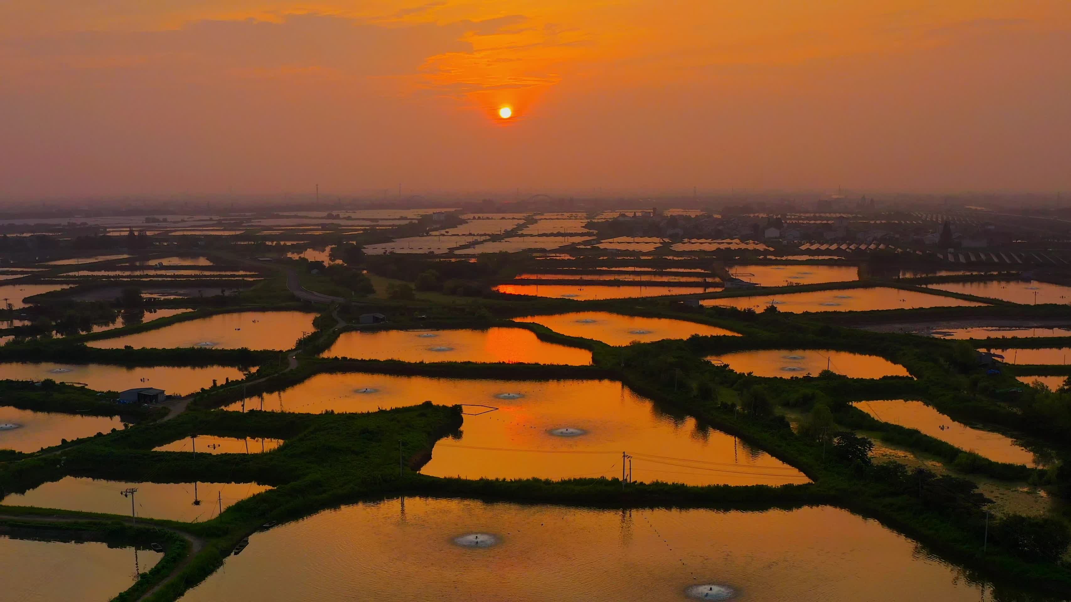 日落下的万亩水塘视频的预览图
