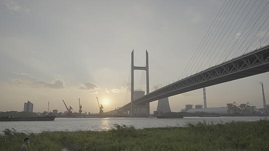 黄浦江大桥夕阳灰片log3风车流下午的阳光视频的预览图
