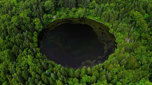 原始密林中的圆形湖泊视频的预览图