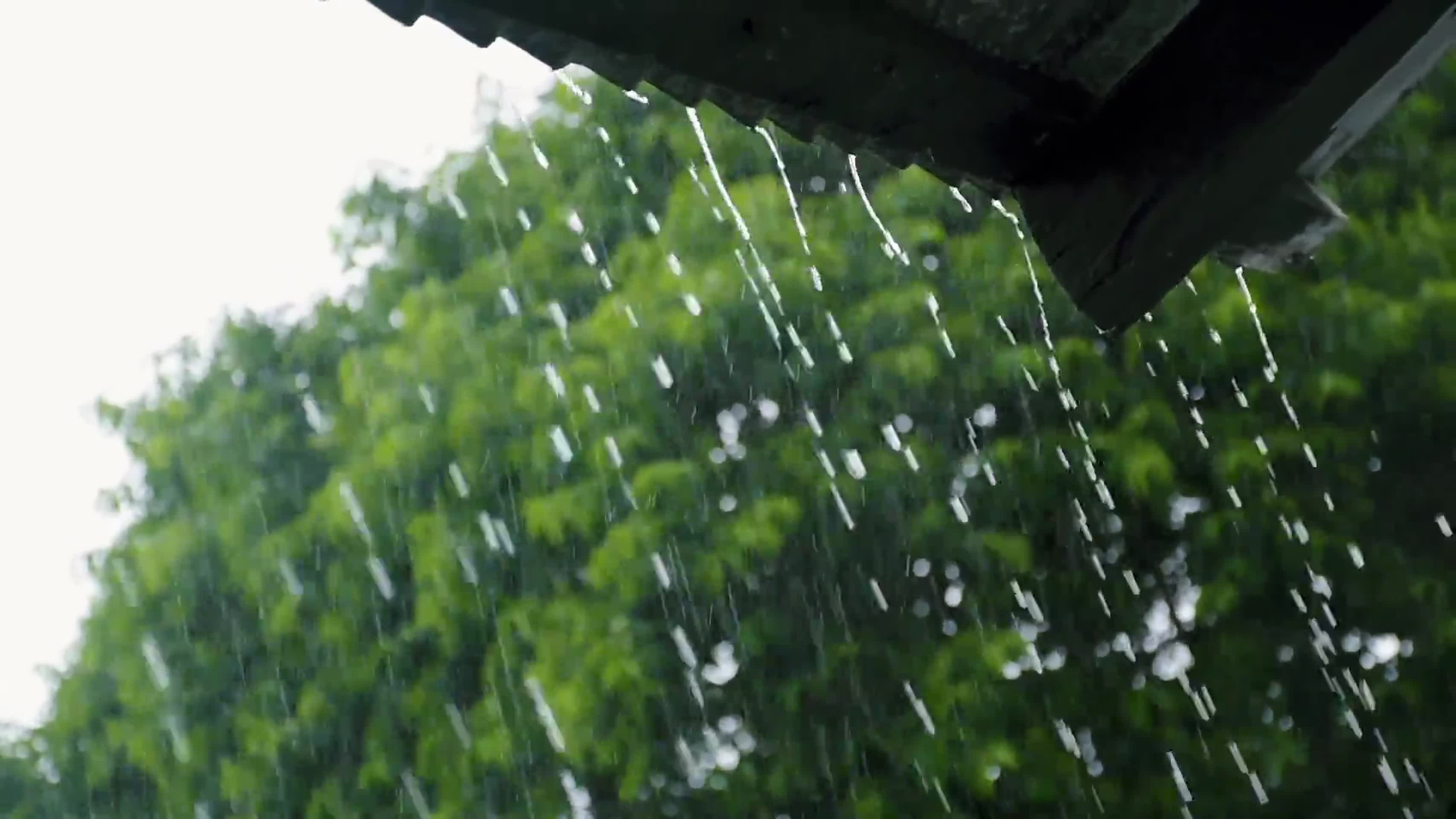 1080p雨天下的屋檐视频的预览图