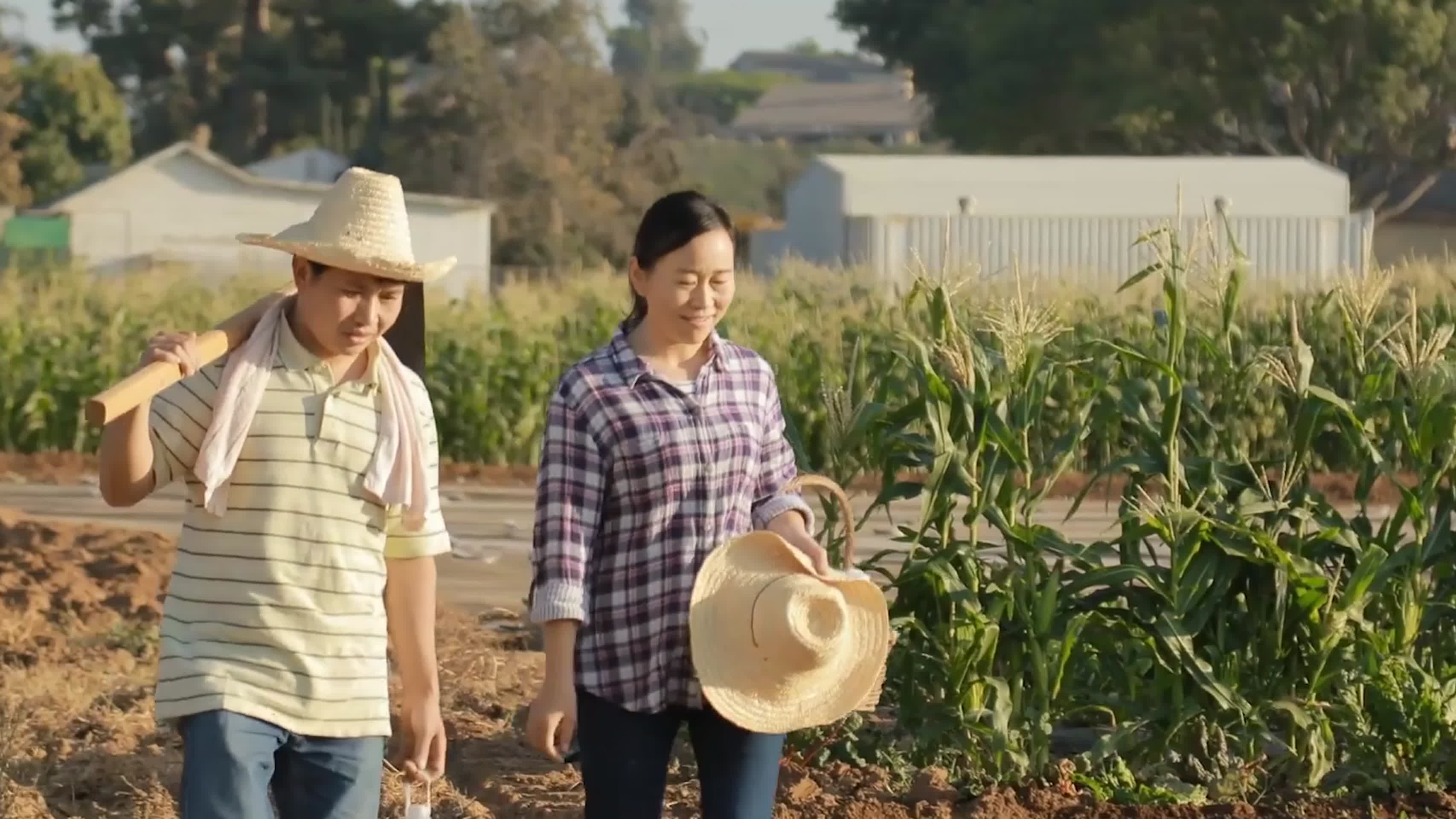 丰收农业蔬菜水果农民劳动耕作扶贫产业视频视频的预览图