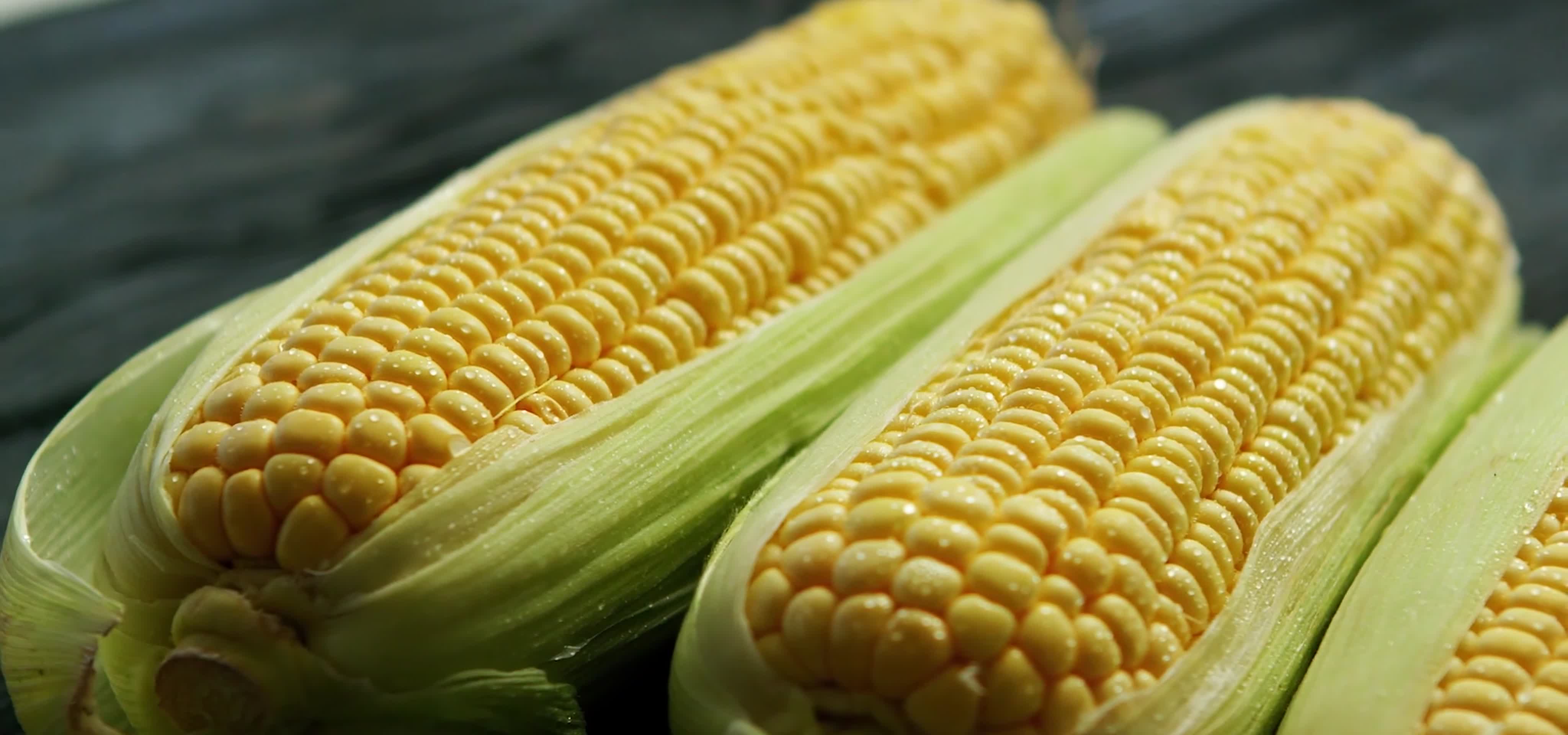 新鲜有机玉米苞米农作物视频视频的预览图