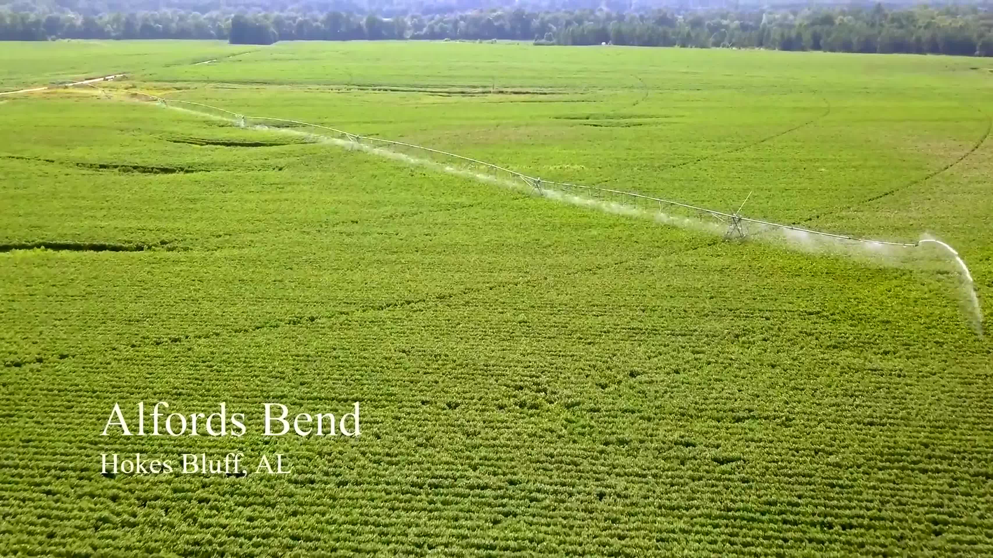 先进农业灌溉高清视频视频的预览图