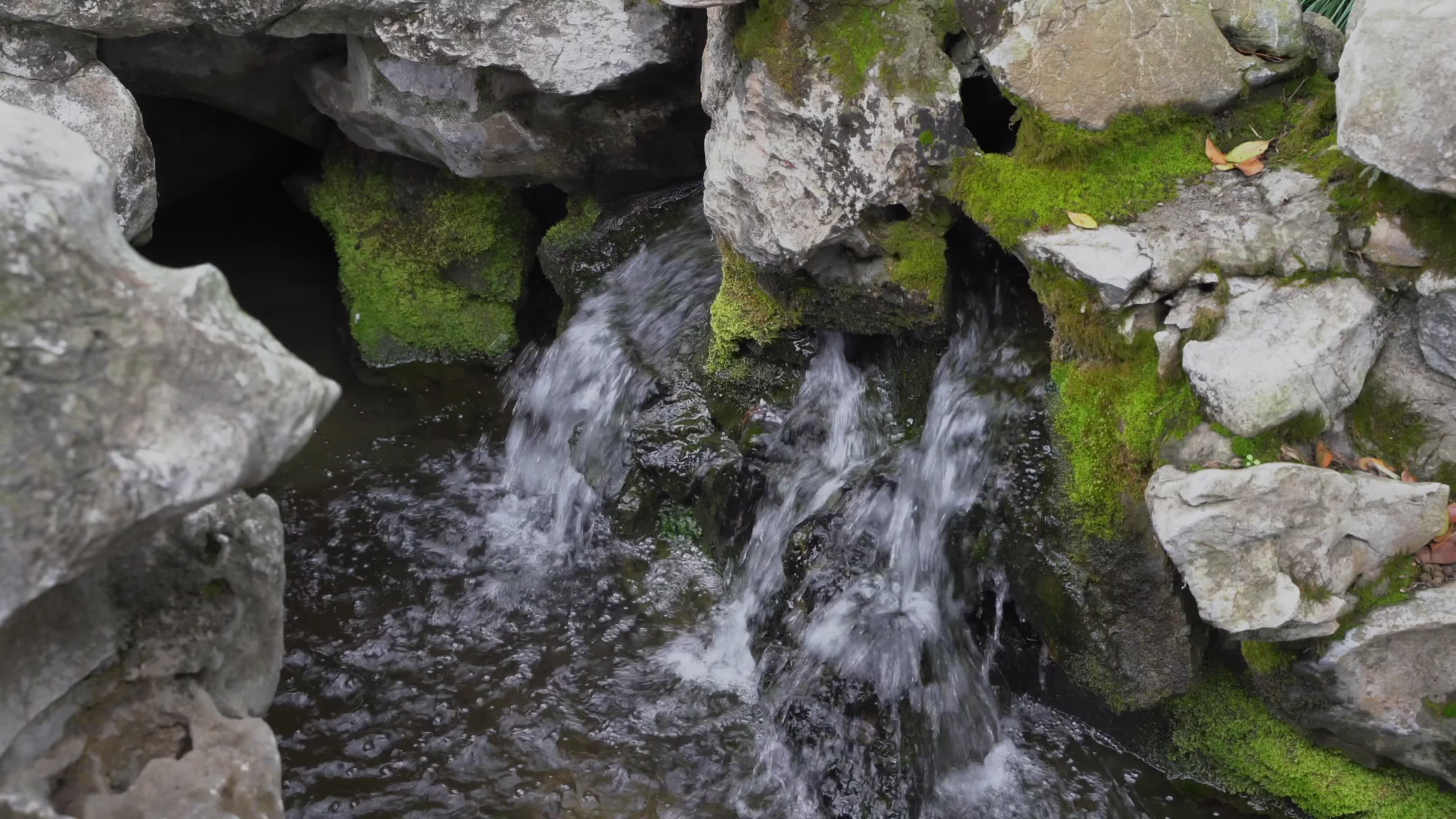 大自然河流小溪4K视频的预览图